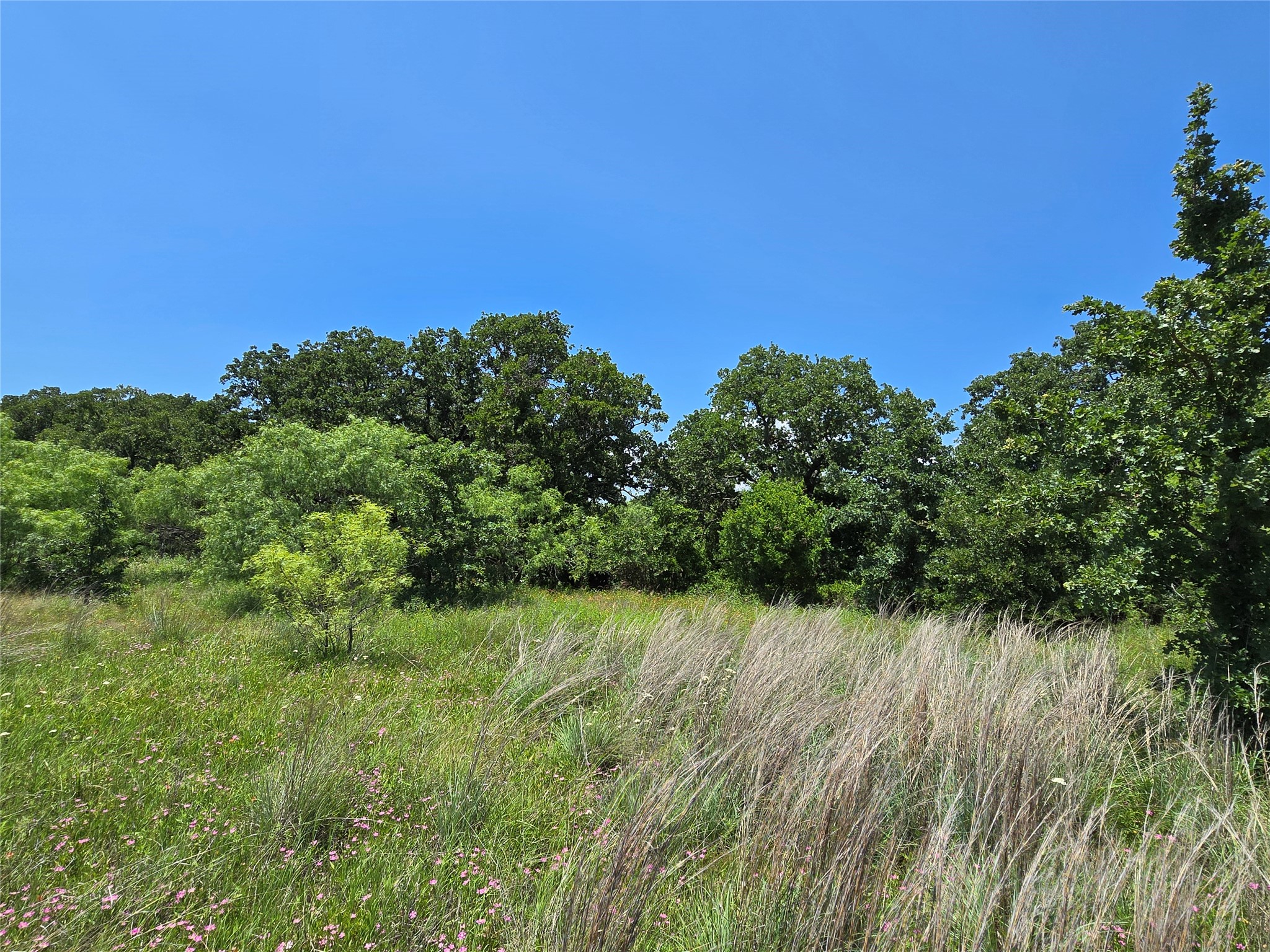 1750 County Road 173
