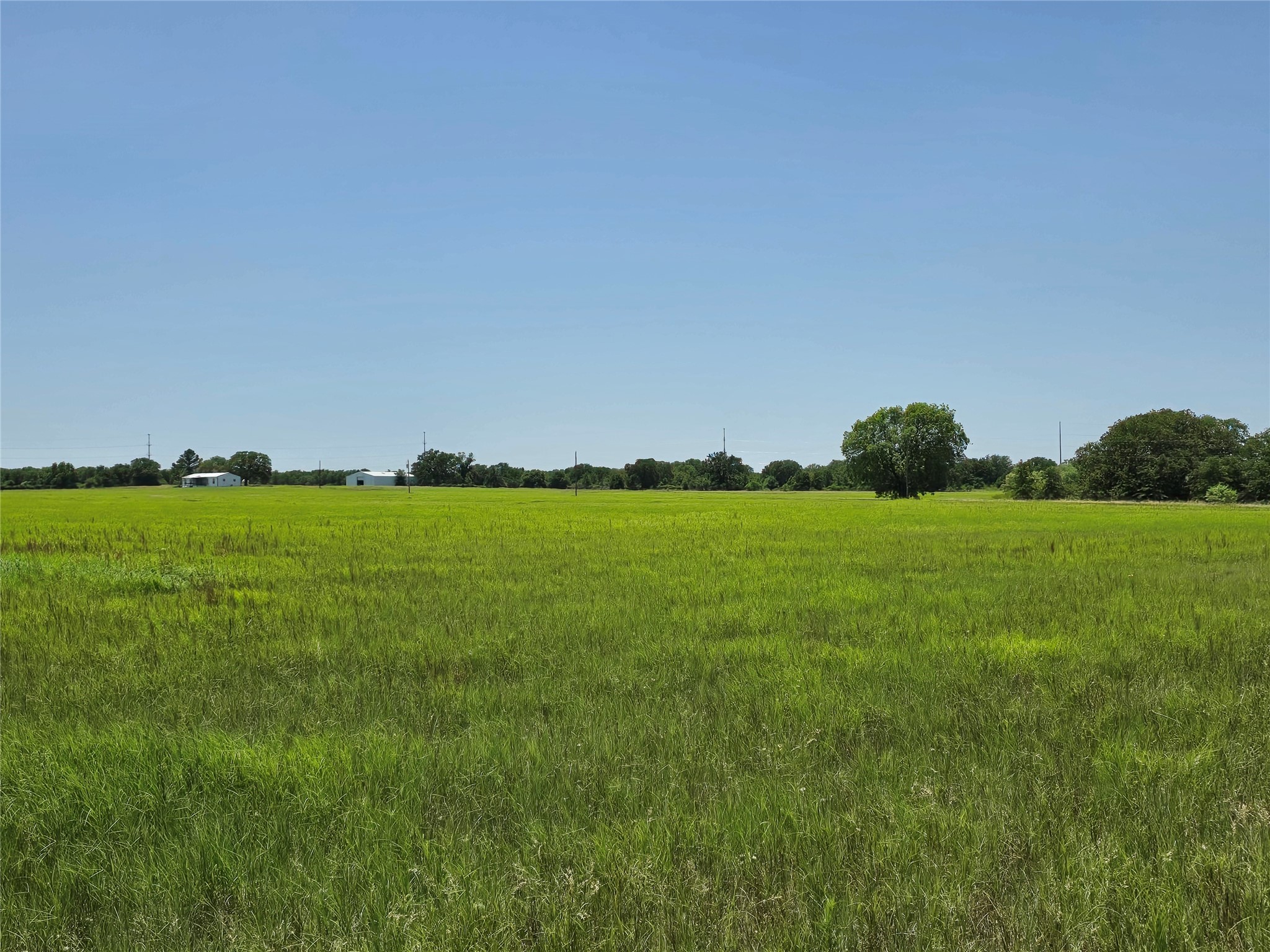 1750 County Road 173