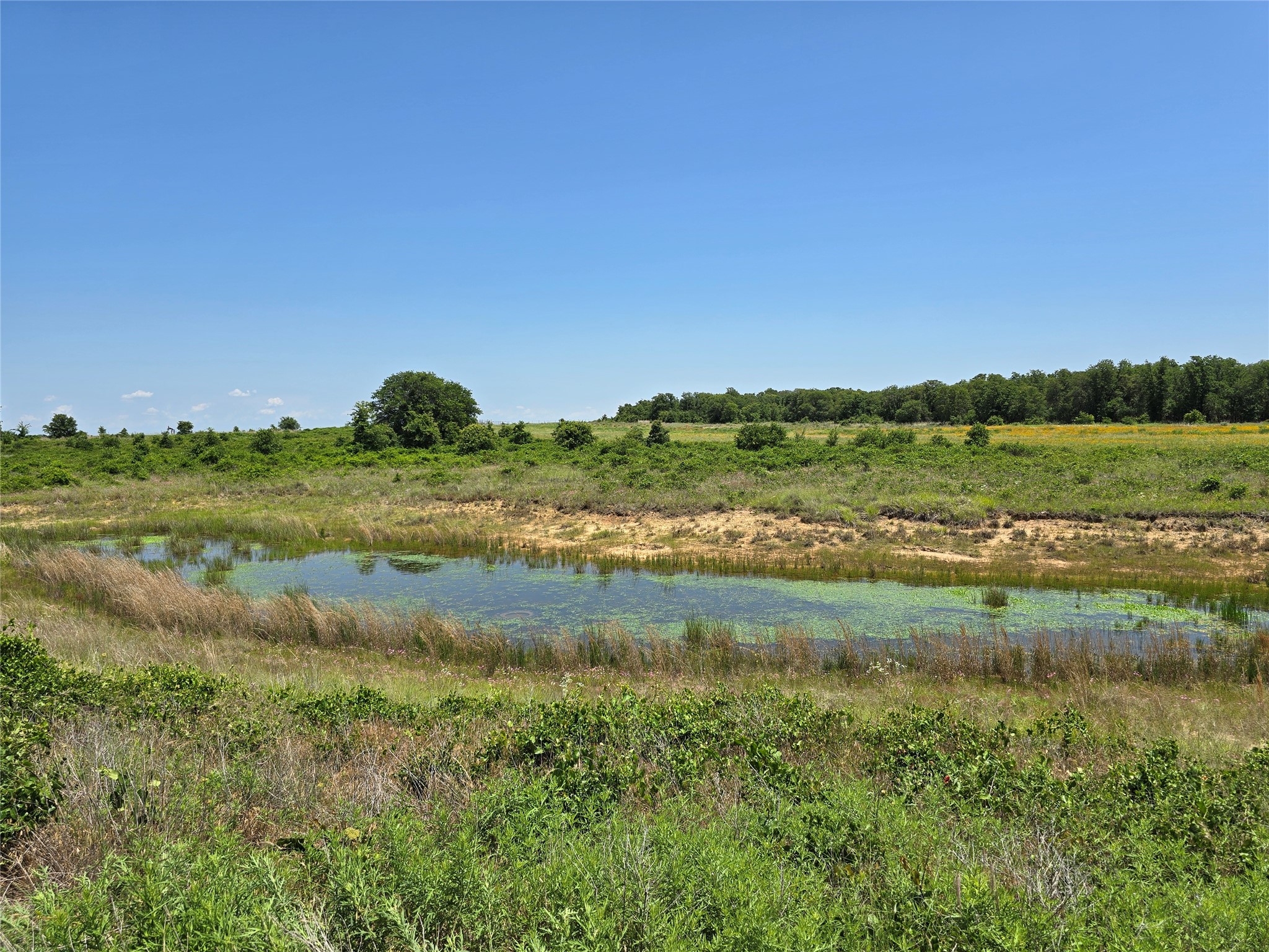 1750 County Road 173