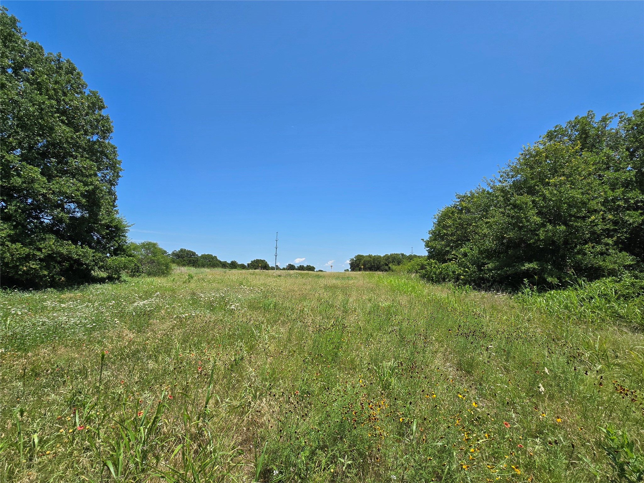 1750 County Road 173