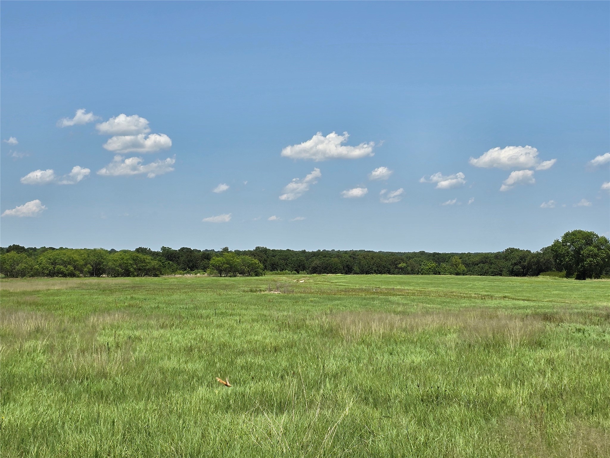 1750 County Road 173