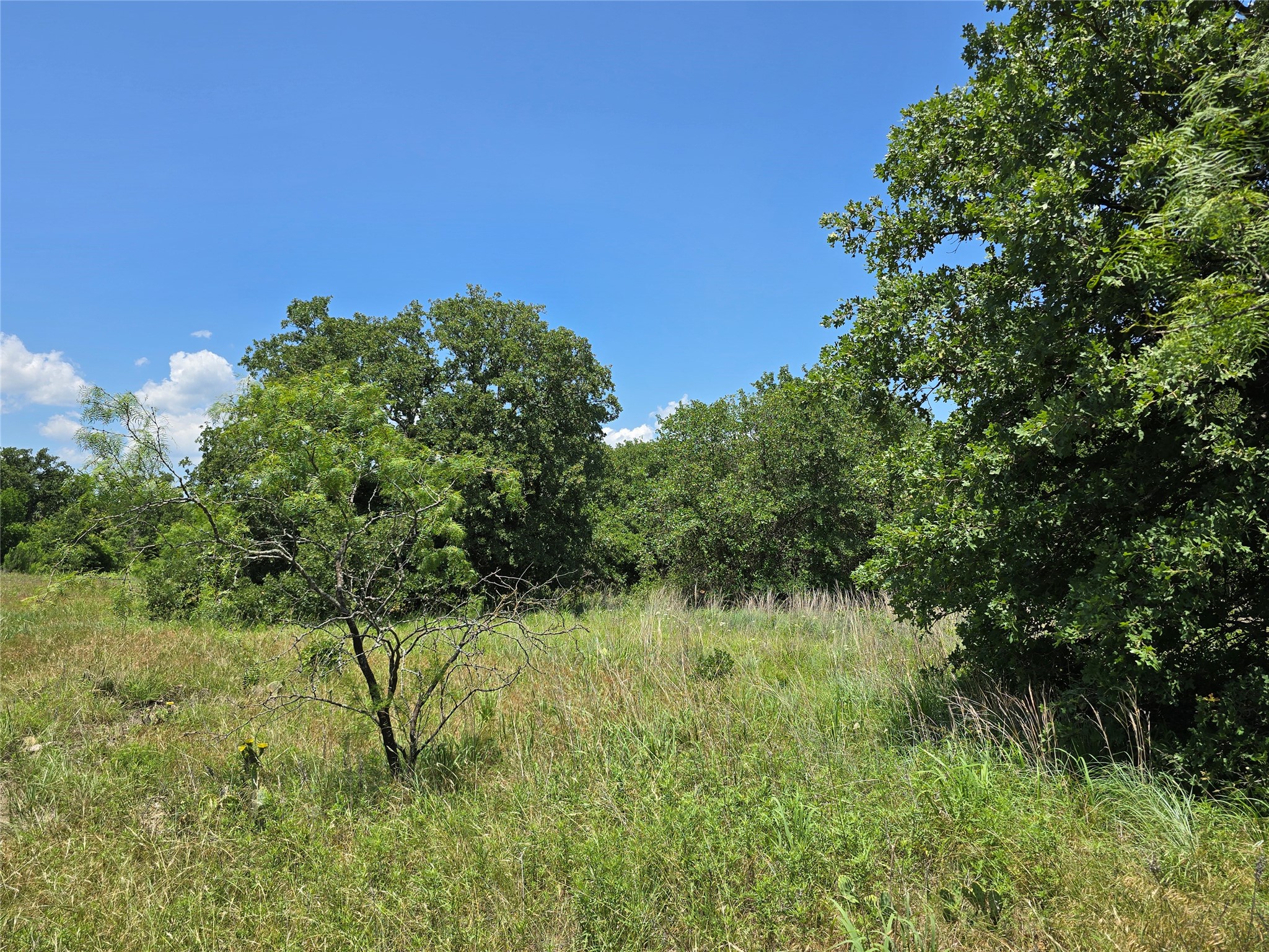 1750 County Road 173