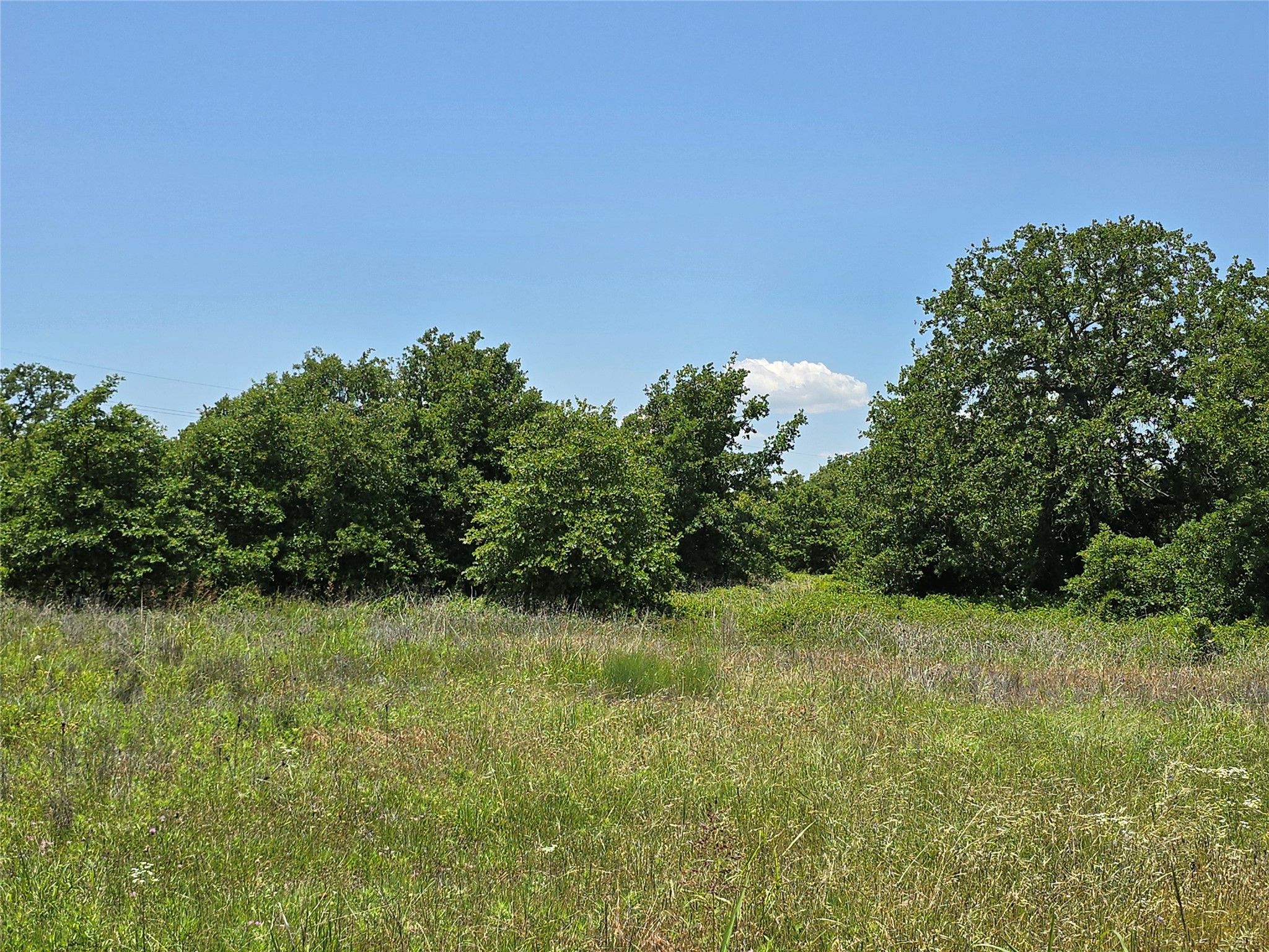 1750 County Road 173