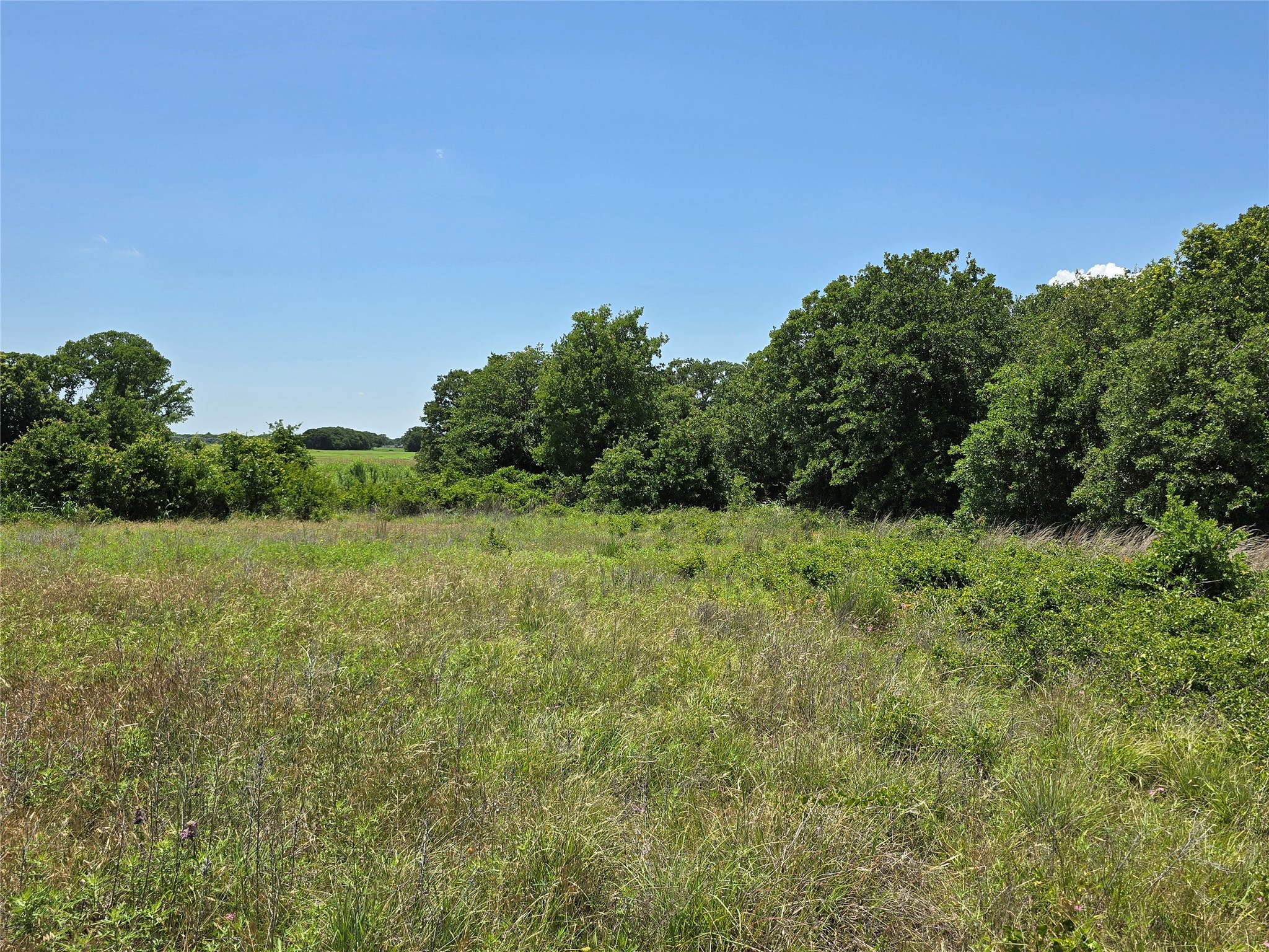 1750 County Road 173