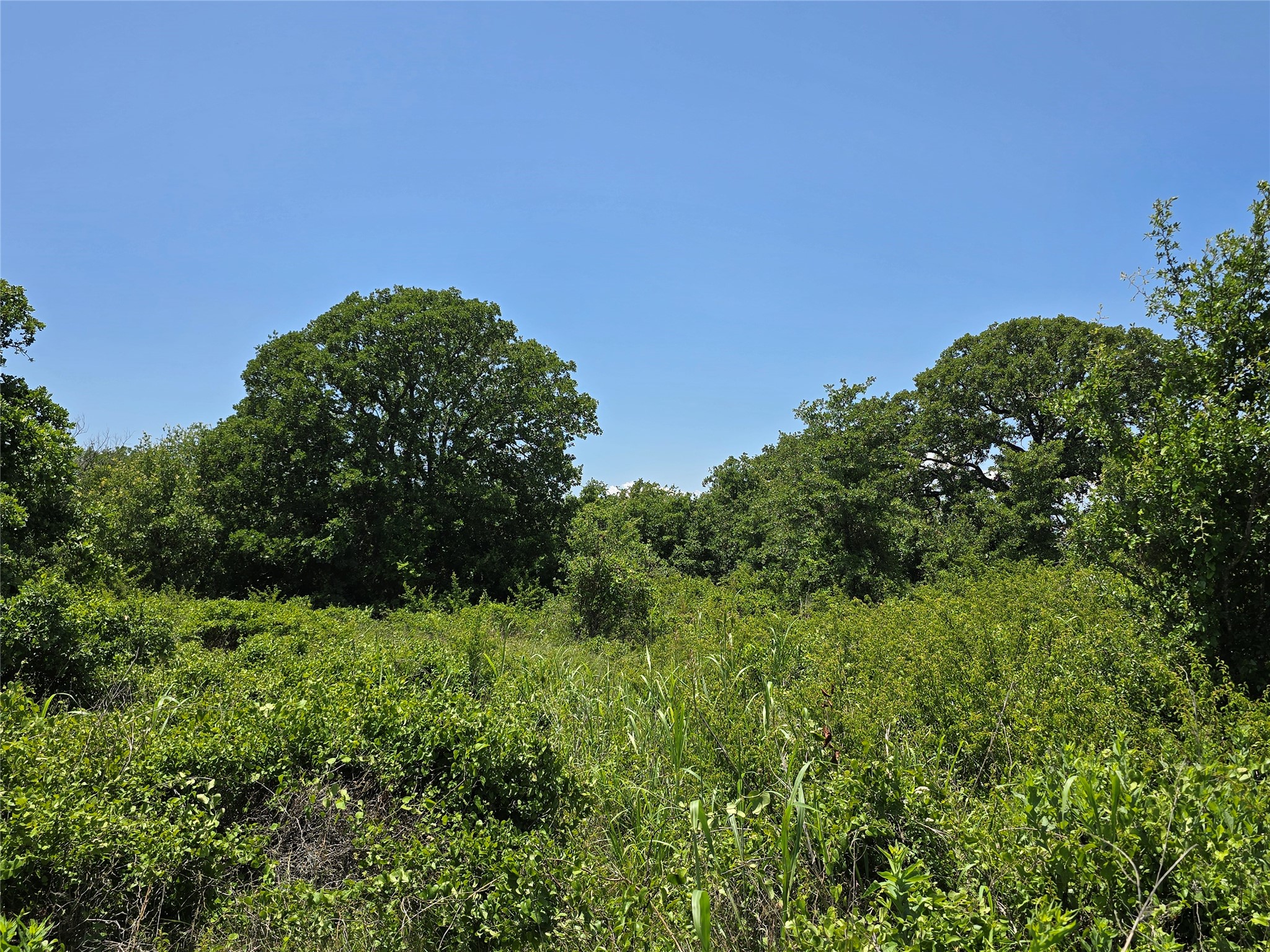 1750 County Road 173