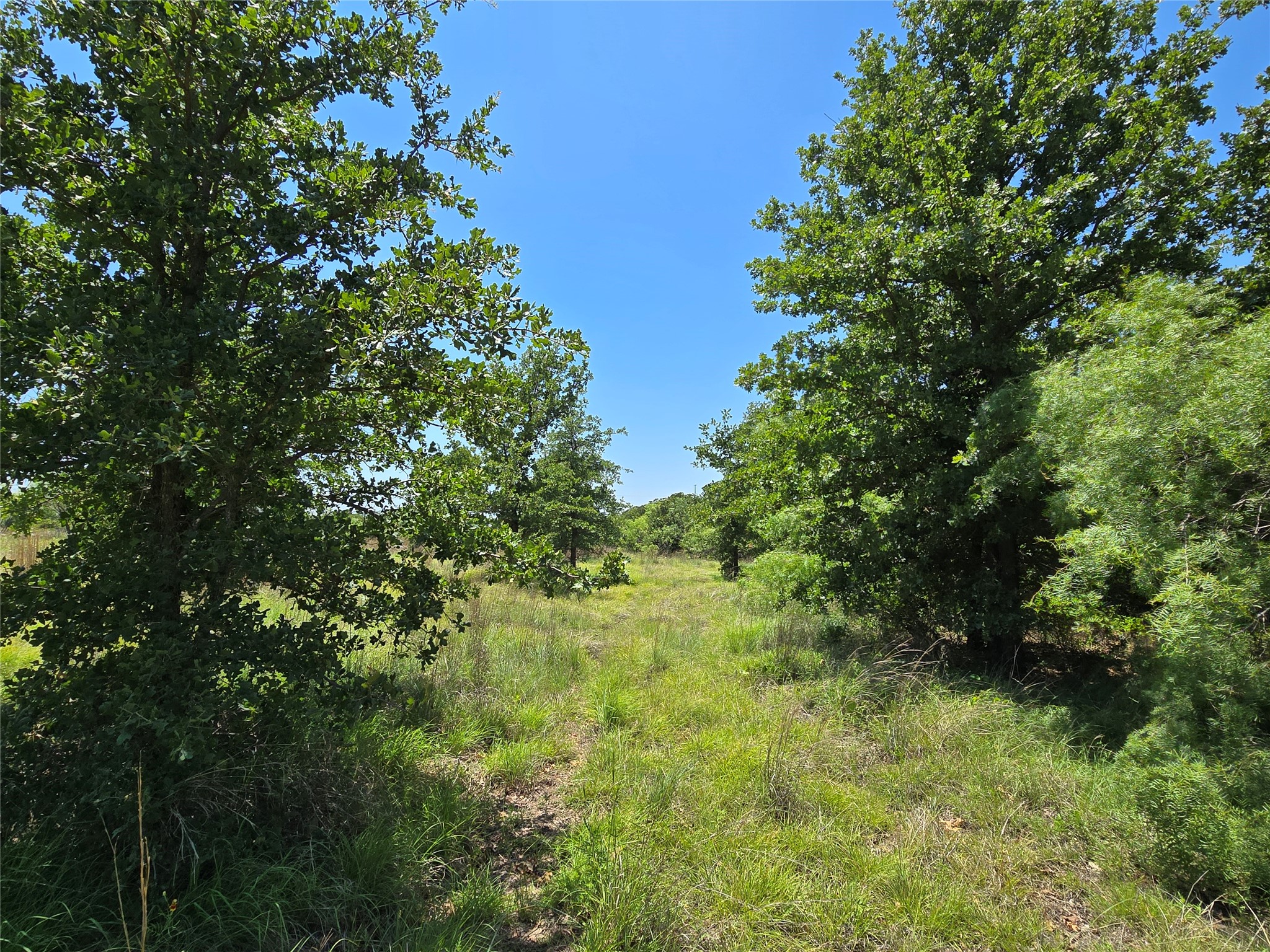 1750 County Road 173