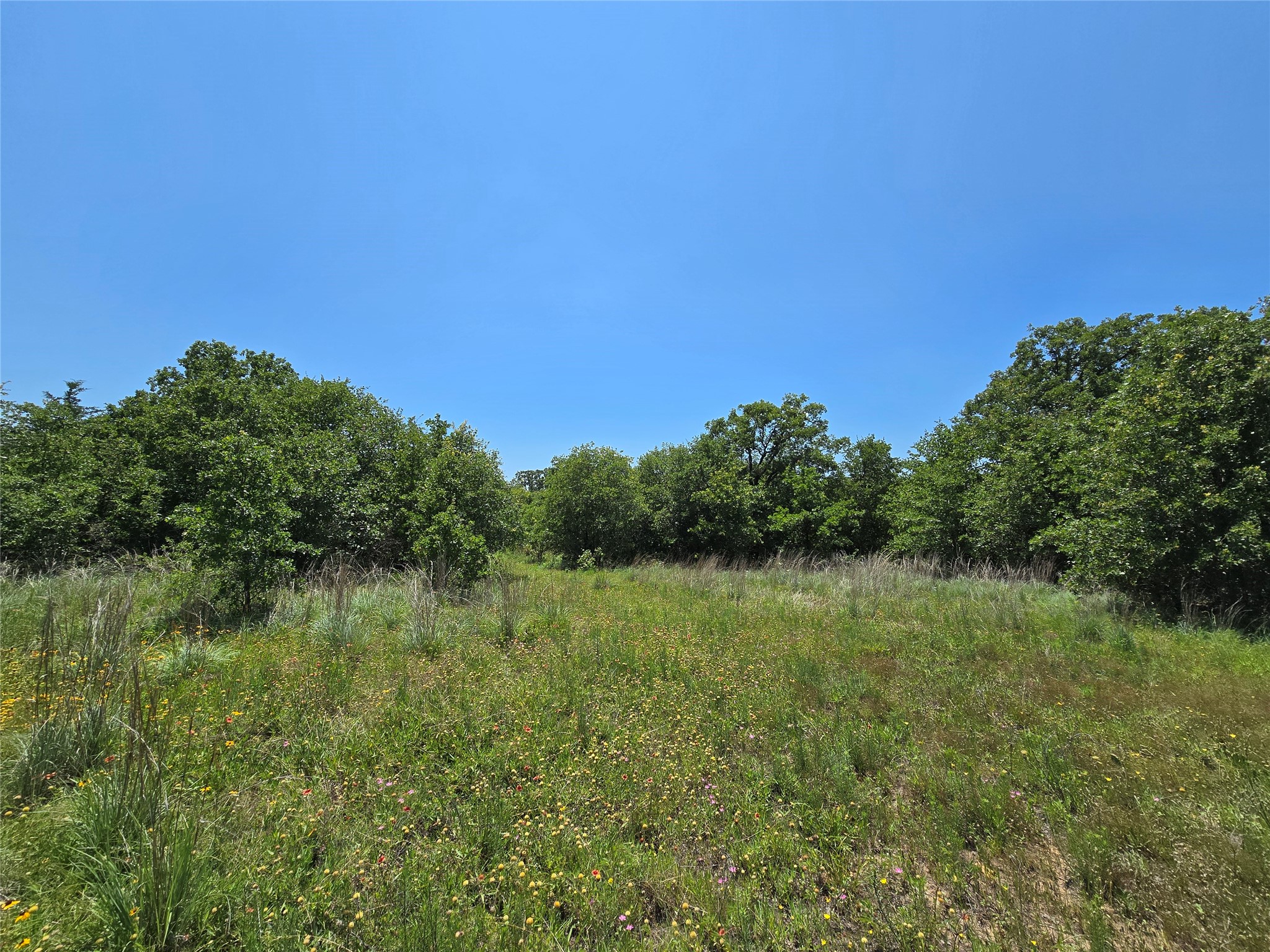 1750 County Road 173