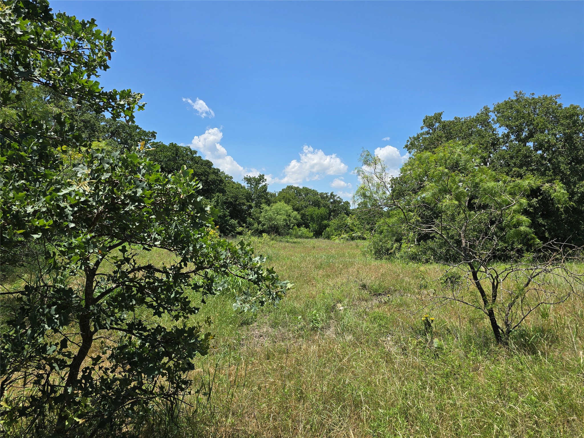 1750 County Road 173