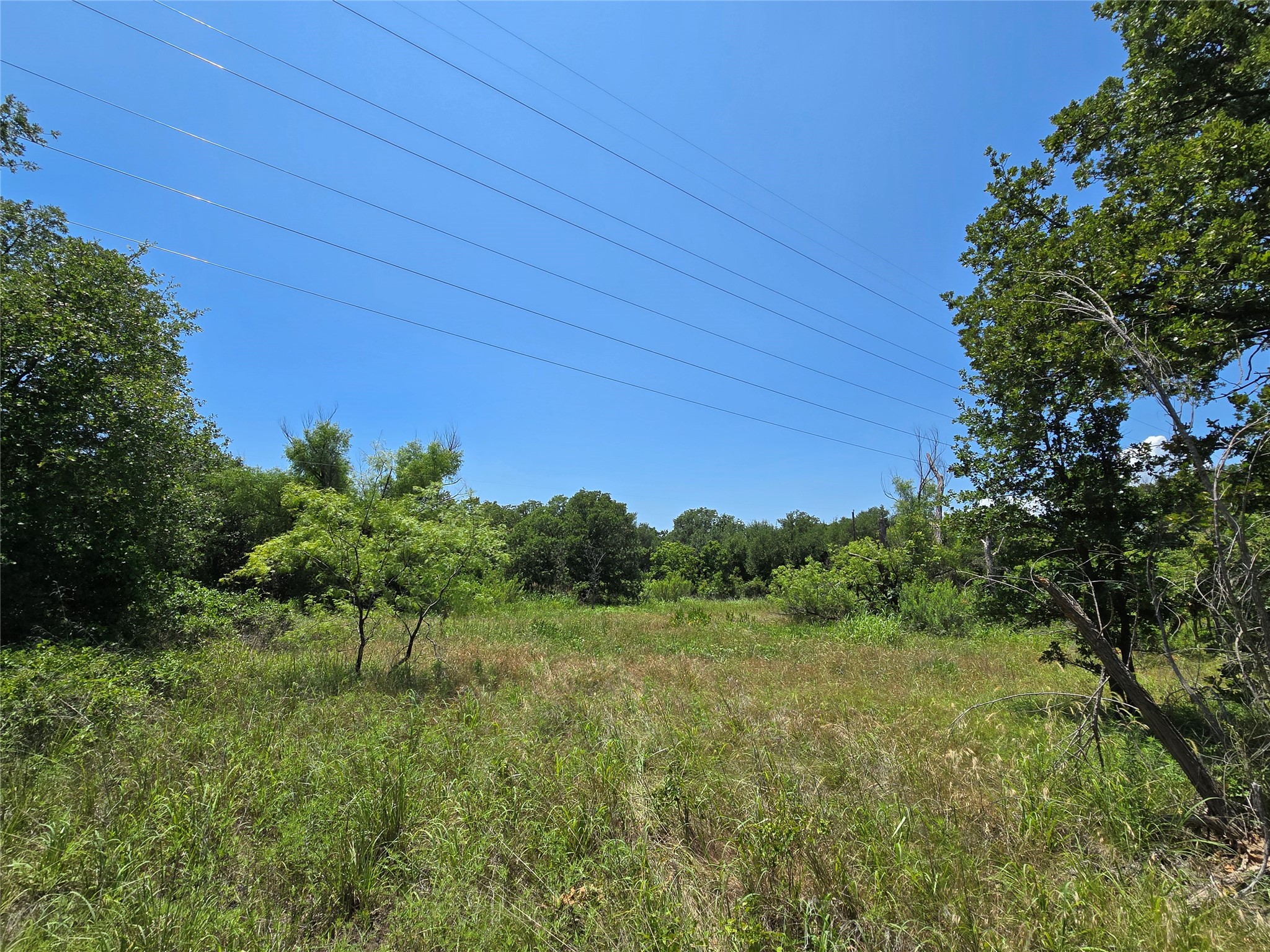 1750 County Road 173