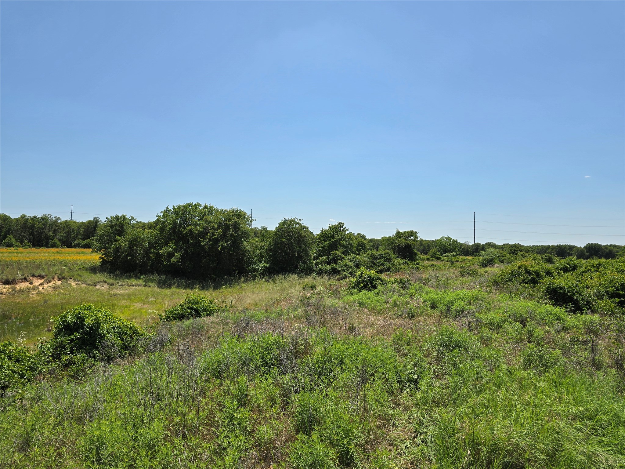 1750 County Road 173