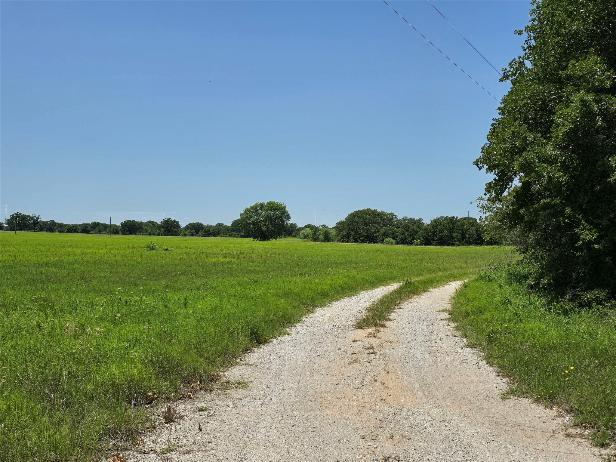 1750 County Road 173