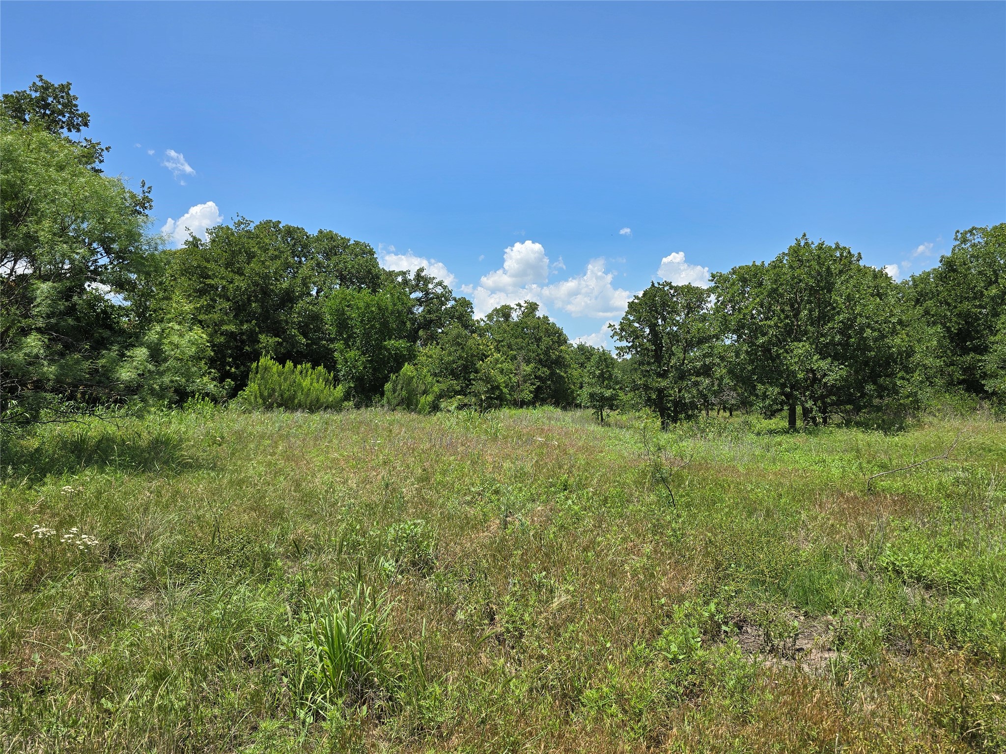 1750 County Road 173