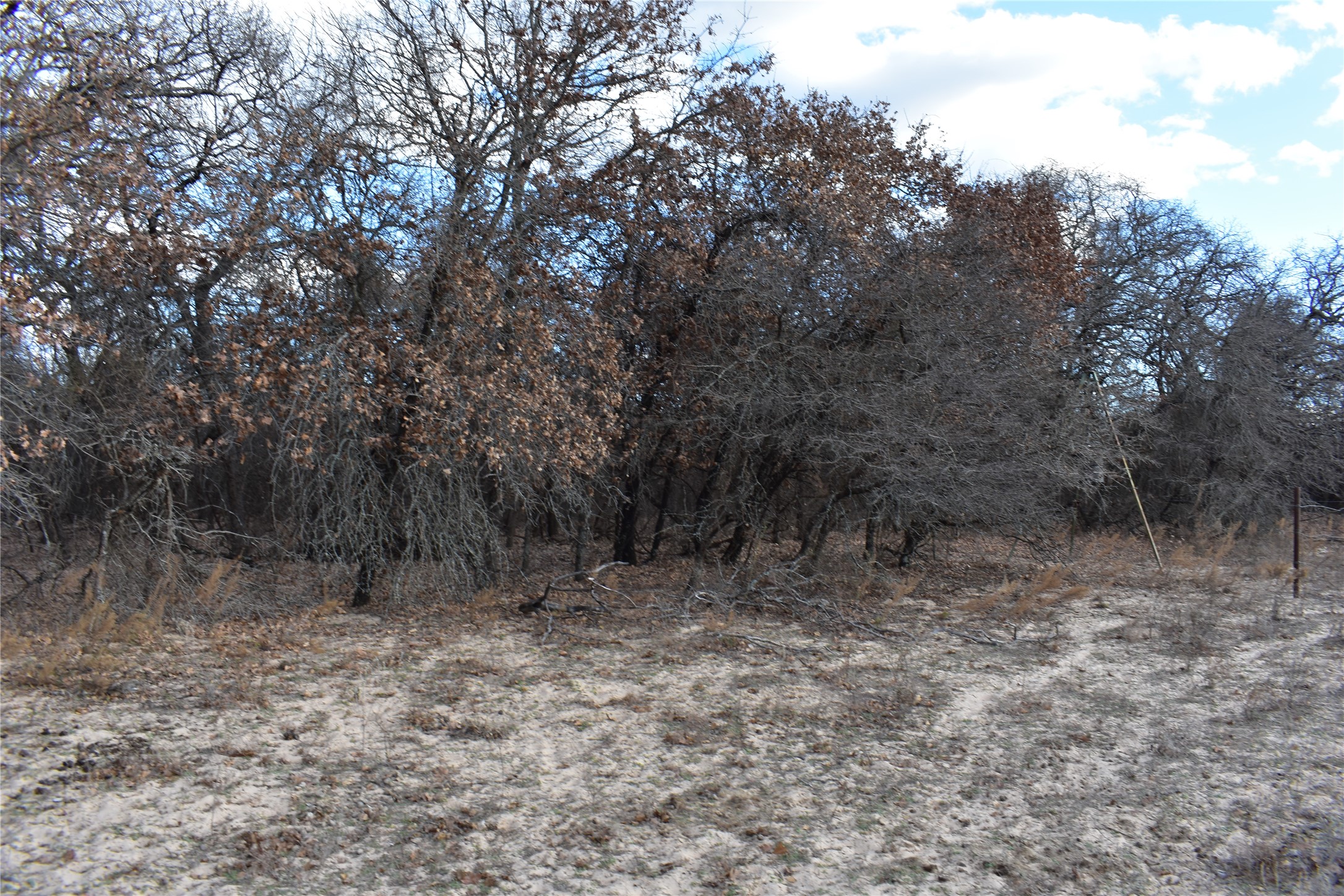 TBD COUNTY ROAD 146