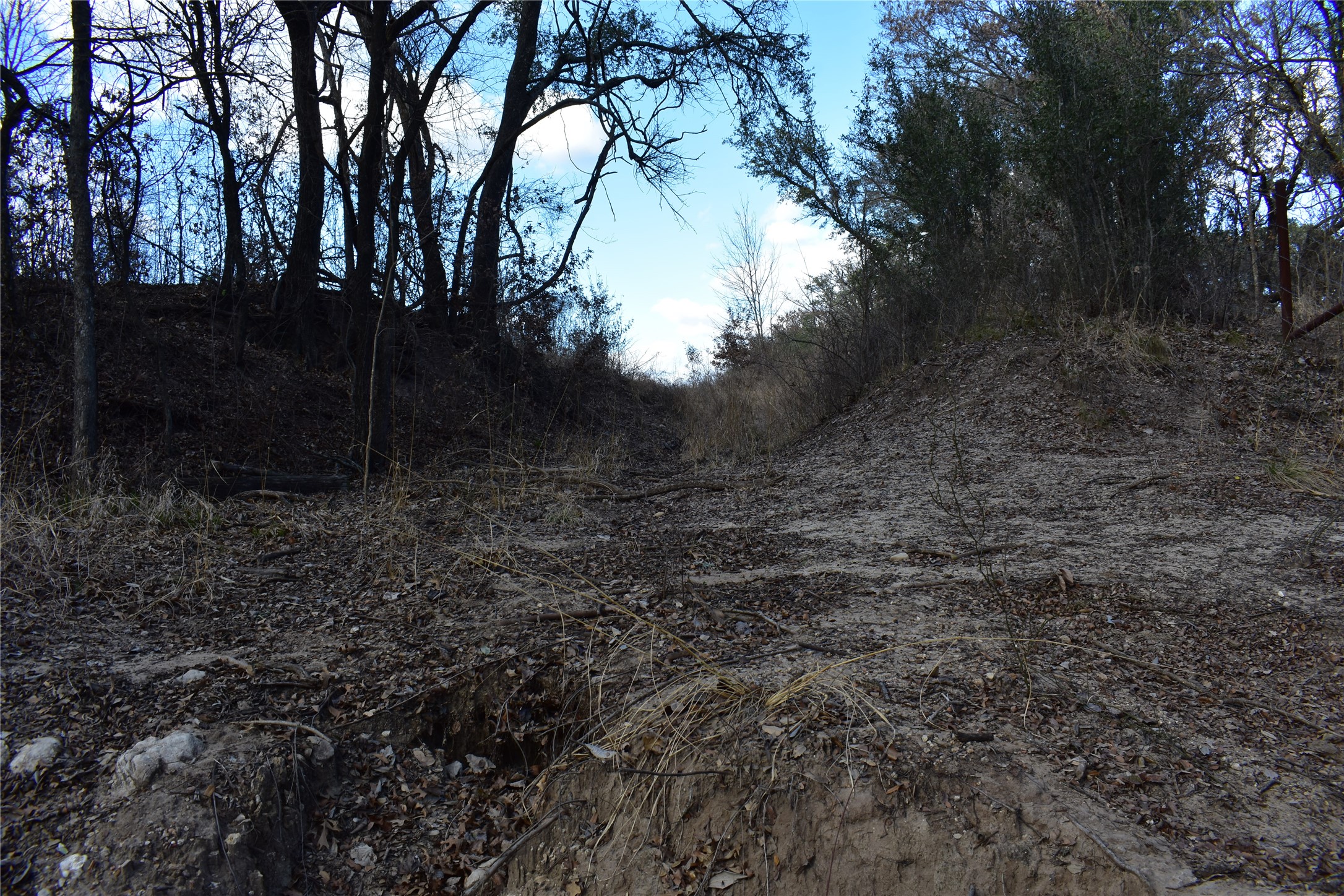 TBD COUNTY ROAD 146