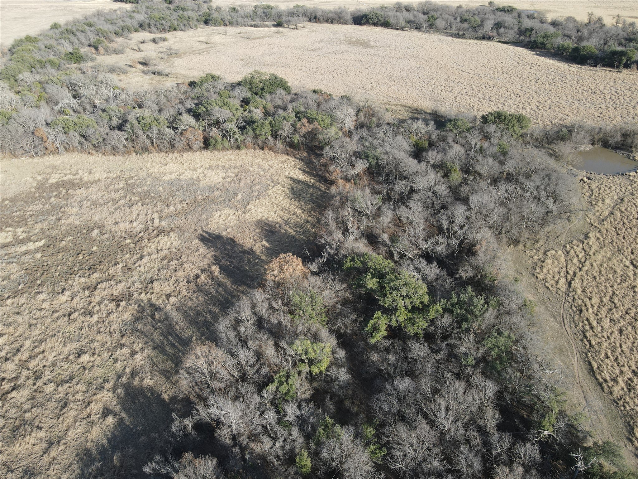 TBD COUNTY ROAD 146