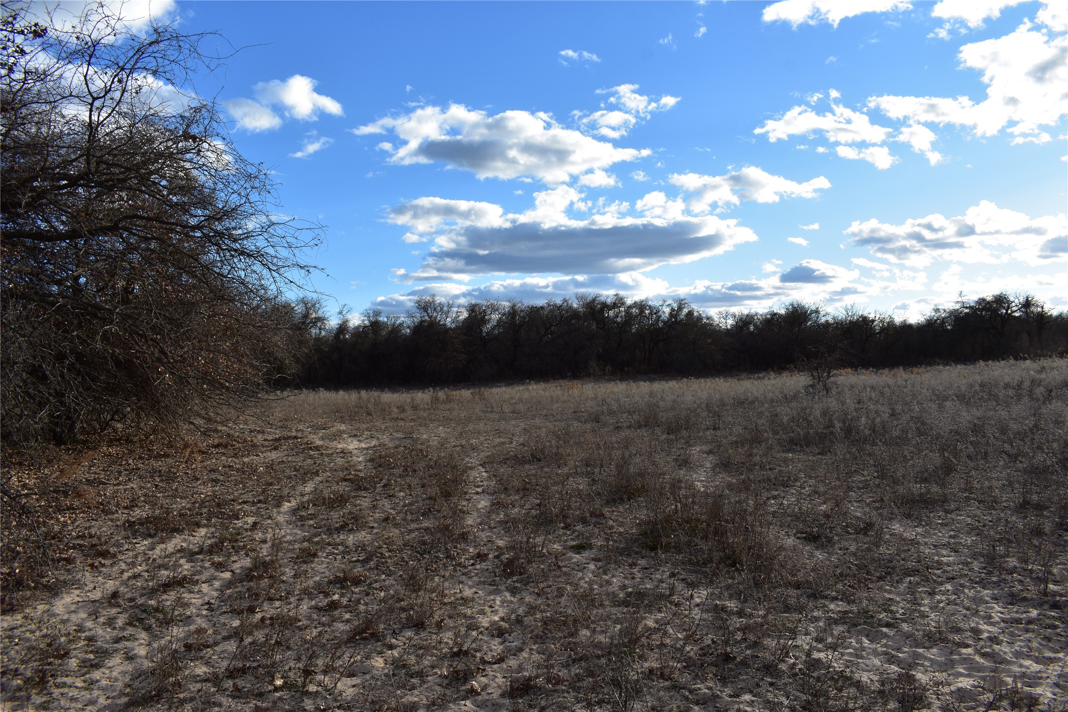 TBD COUNTY ROAD 146