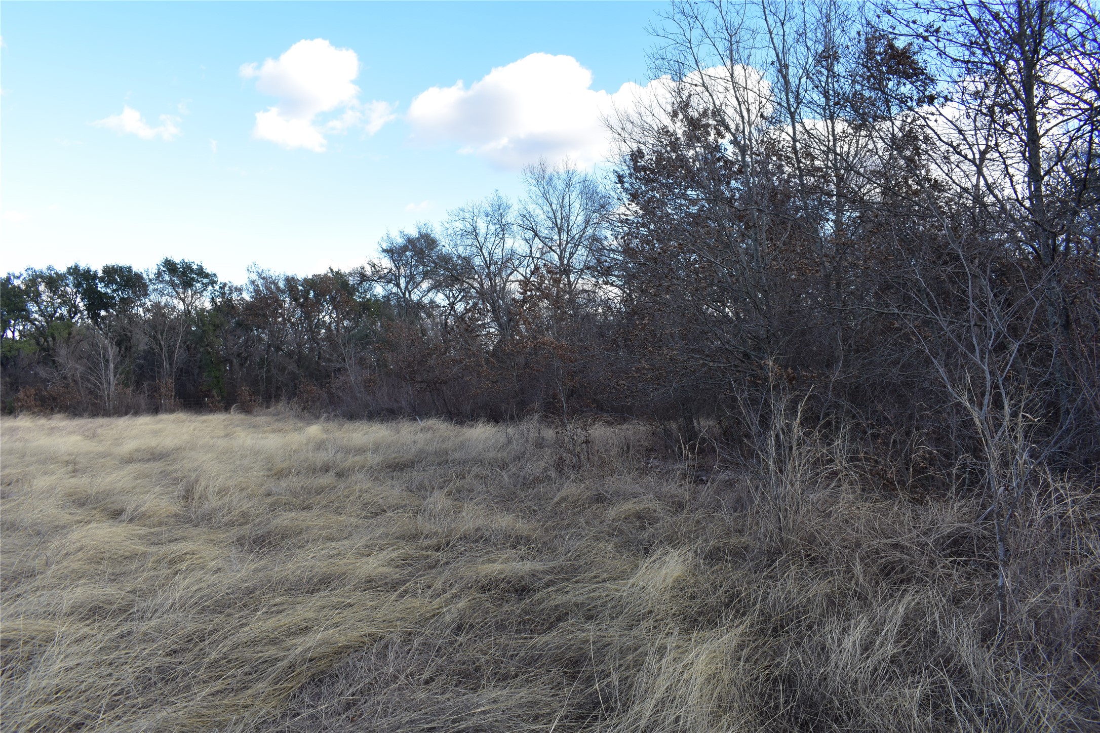 TBD COUNTY ROAD 146