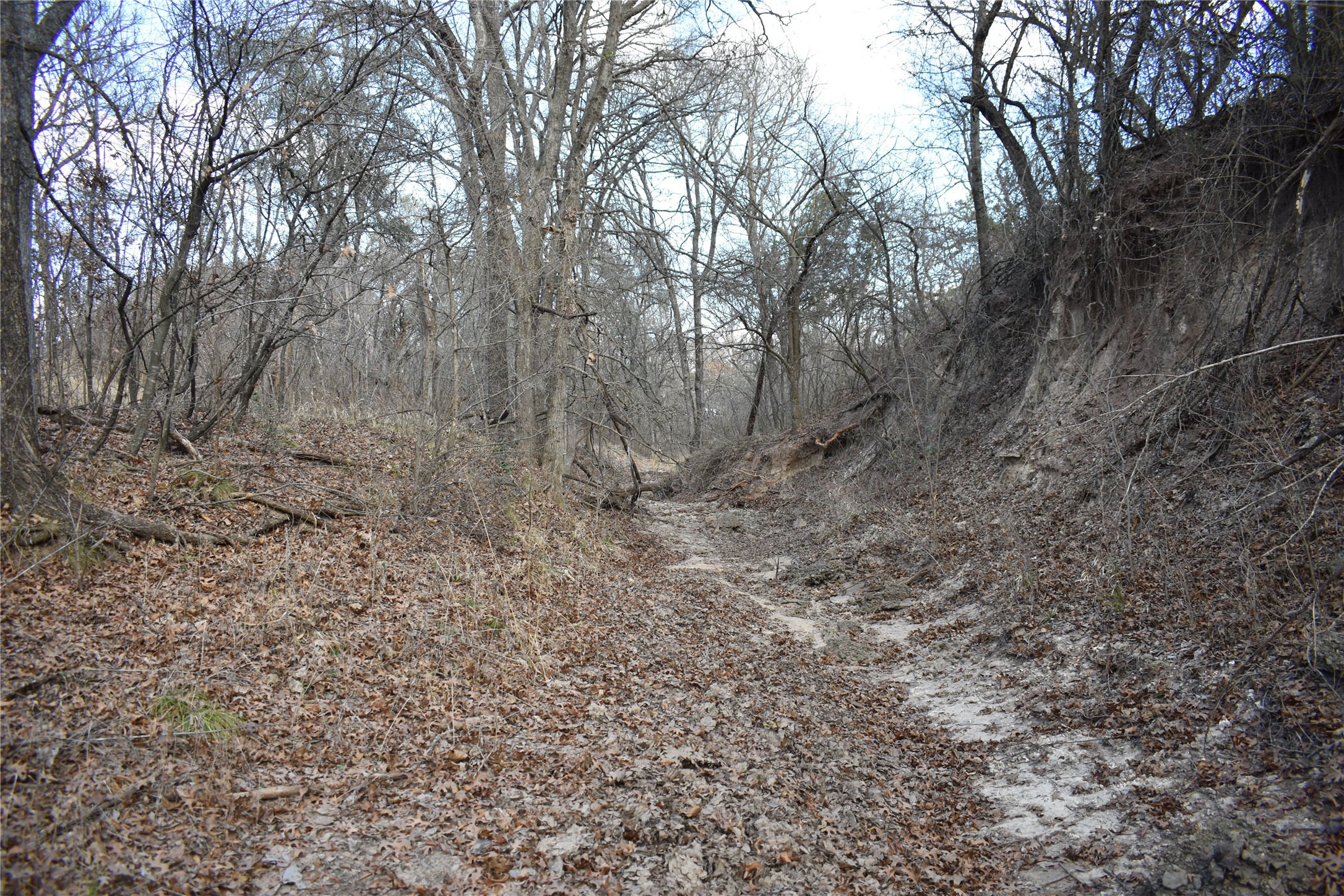 TBD COUNTY ROAD 146