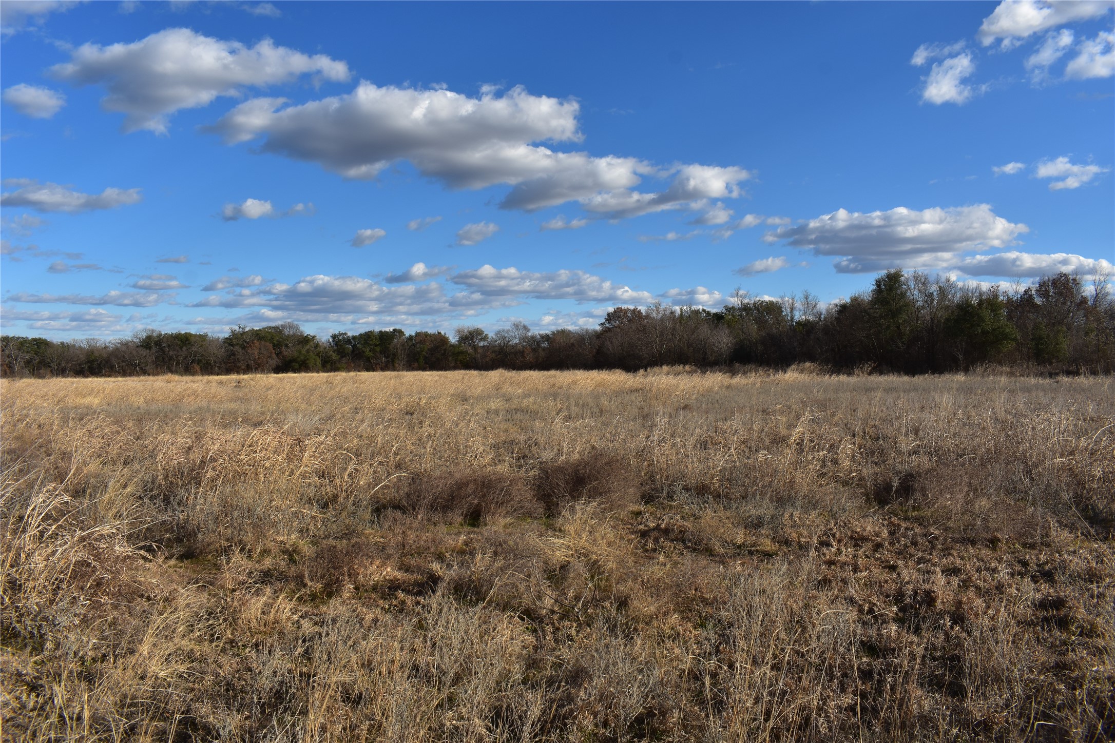 TBD COUNTY ROAD 146