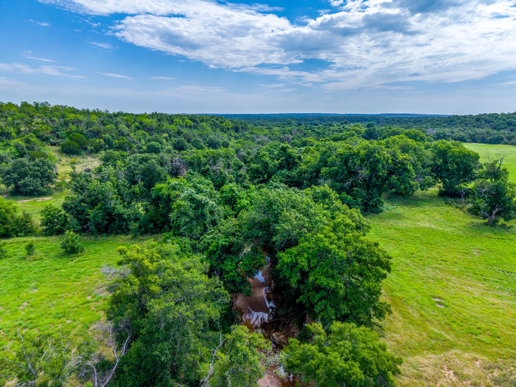 Saddle Ridge Ranch
