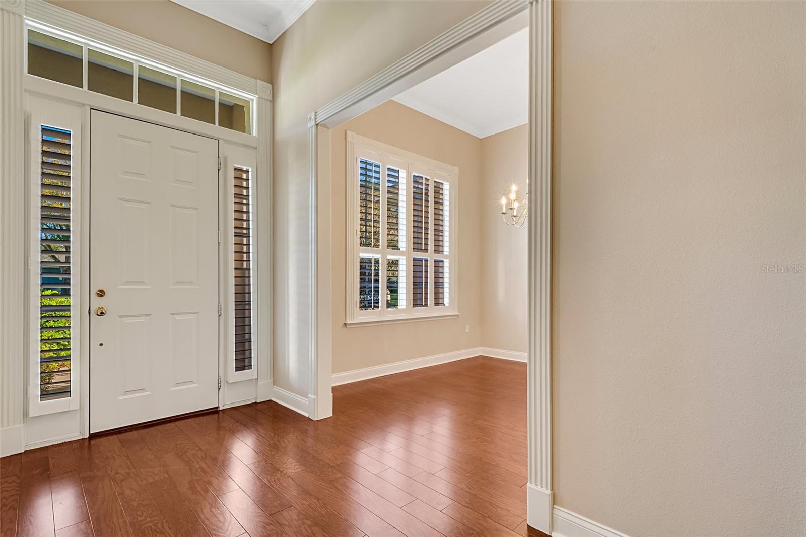 1446 ROYAL FOREST LN