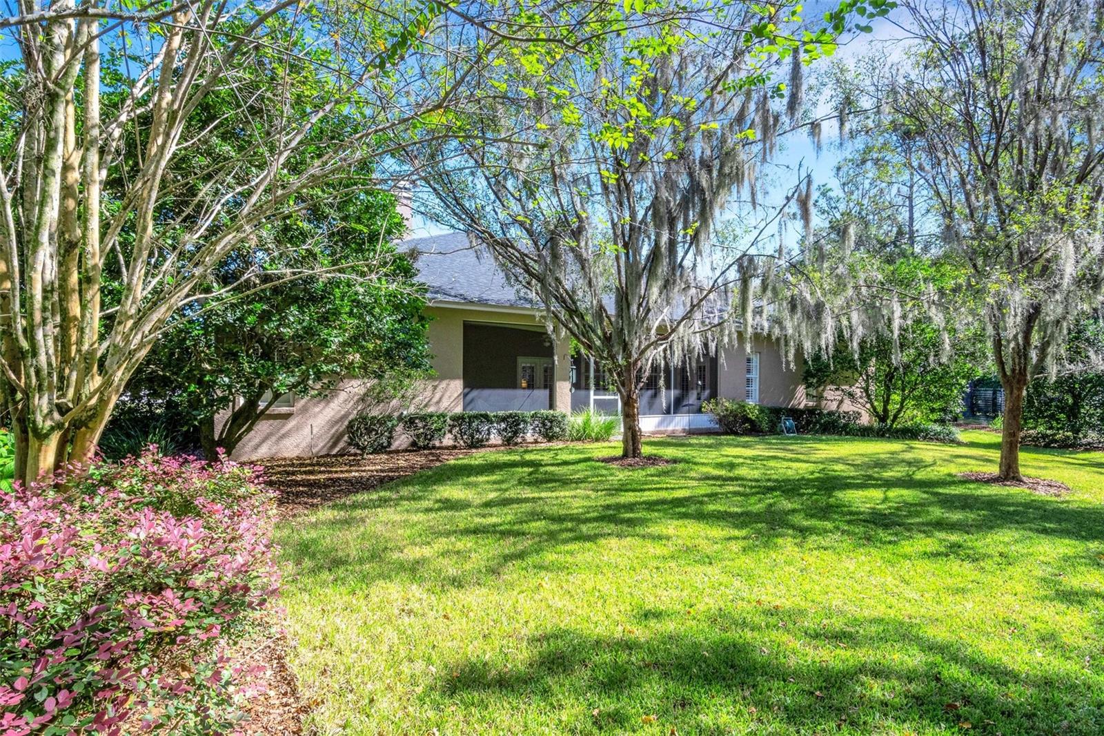 1446 ROYAL FOREST LN