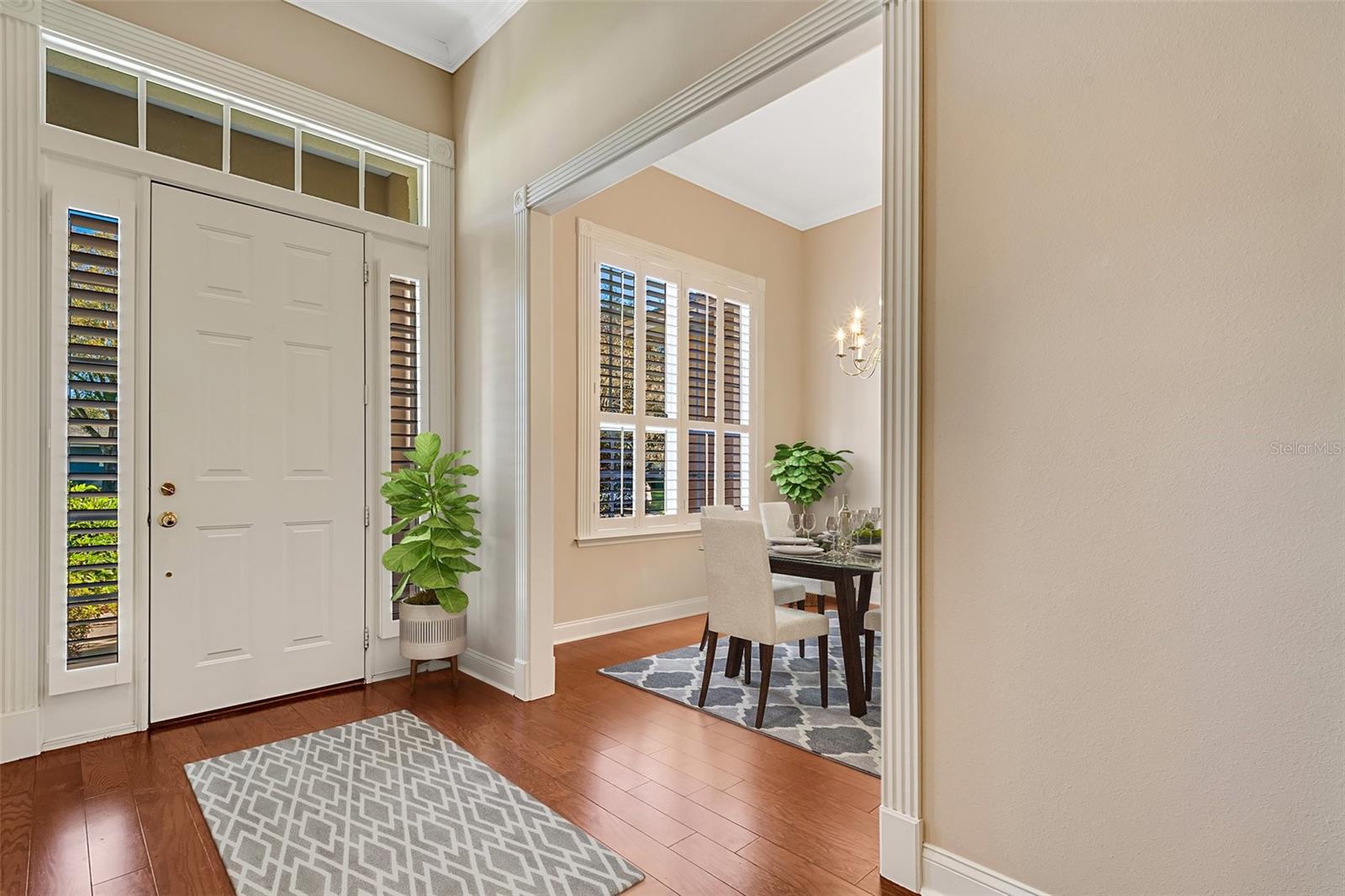 1446 ROYAL FOREST LN