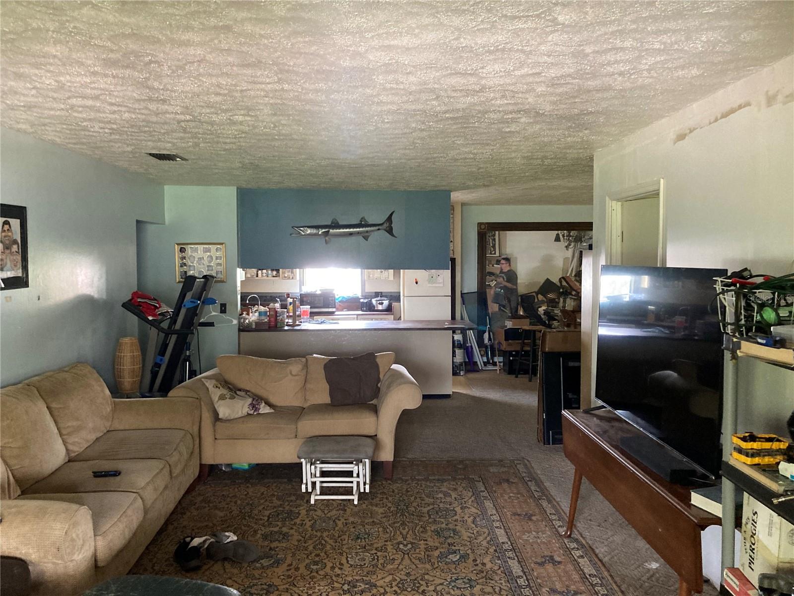 11317 SYLVAN GREEN LN