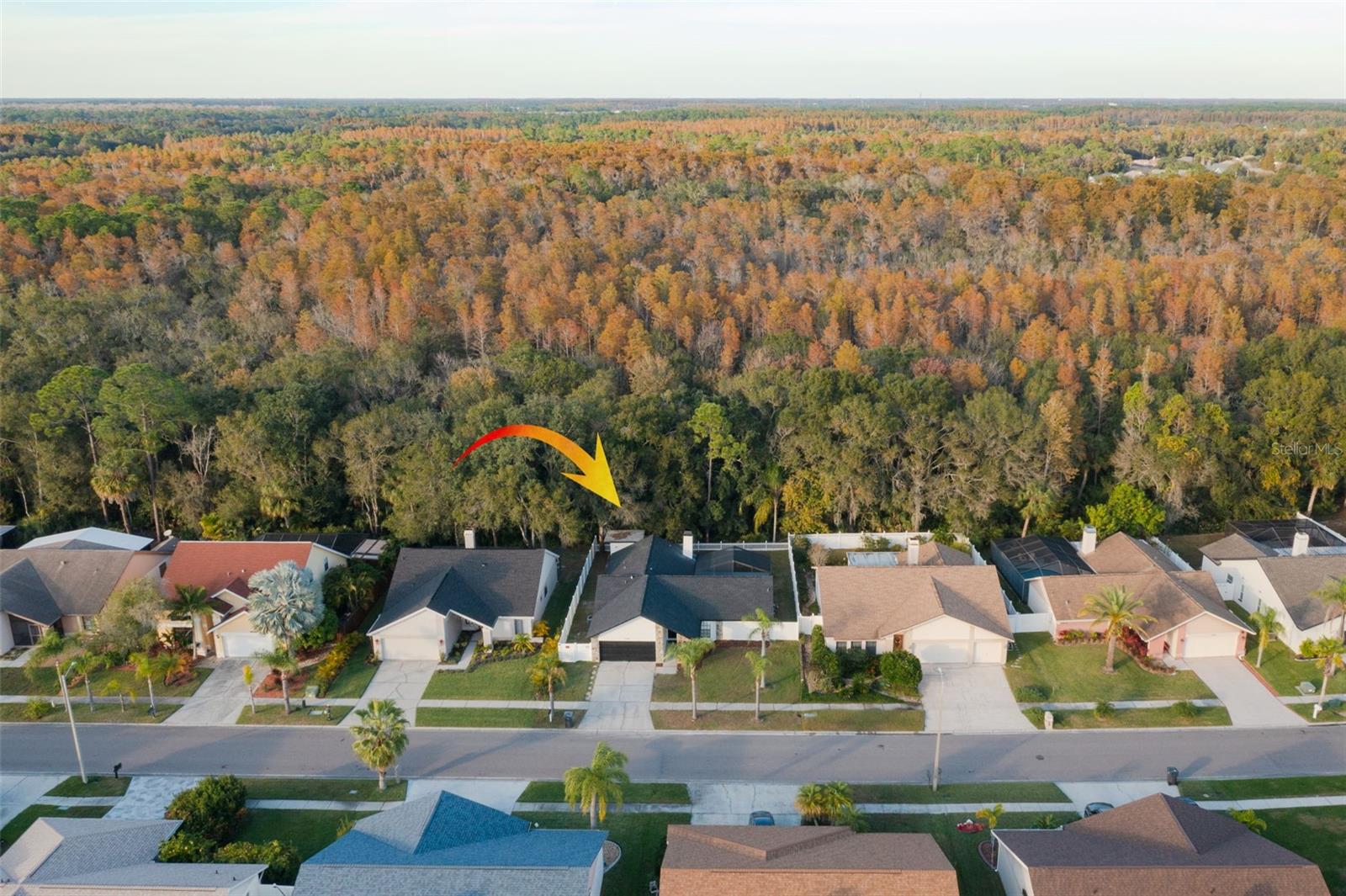 12209 STEPPINGSTONE BLVD