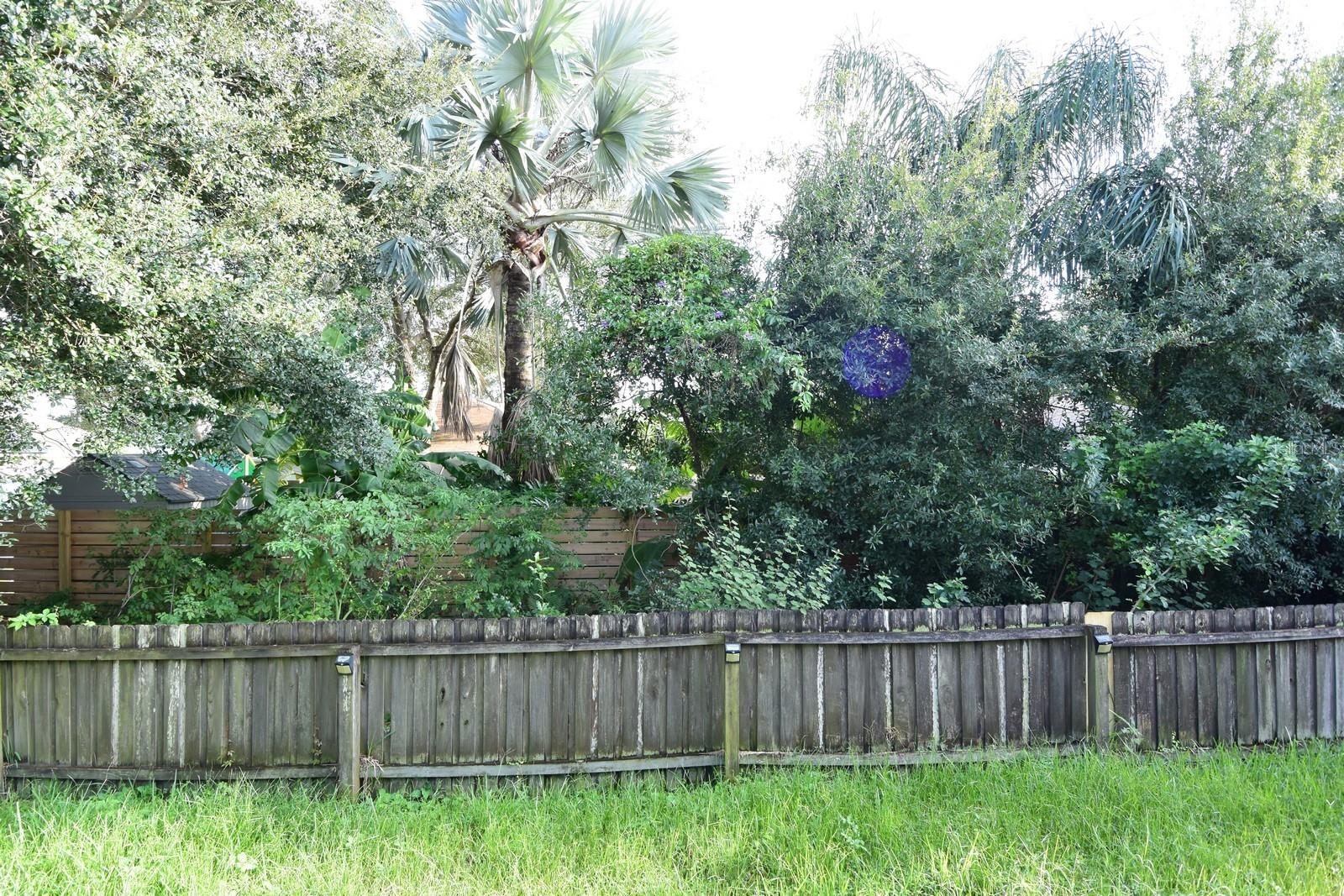 11531 WESTON COURSE LOOP