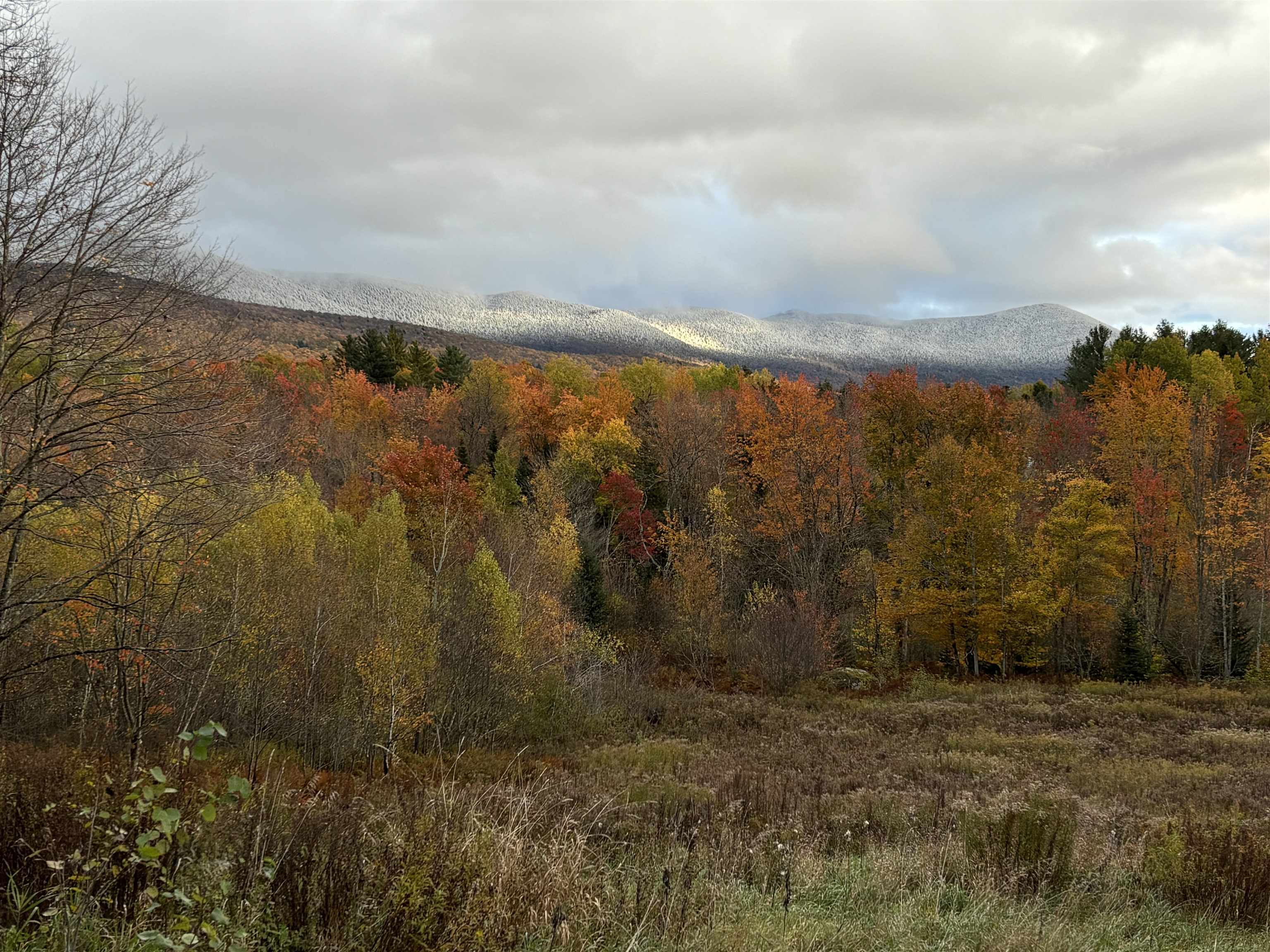 75 Meadow Brook Drive Unit: Lot #1