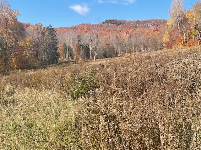 75 Meadow Brook Drive Unit: Lot #1