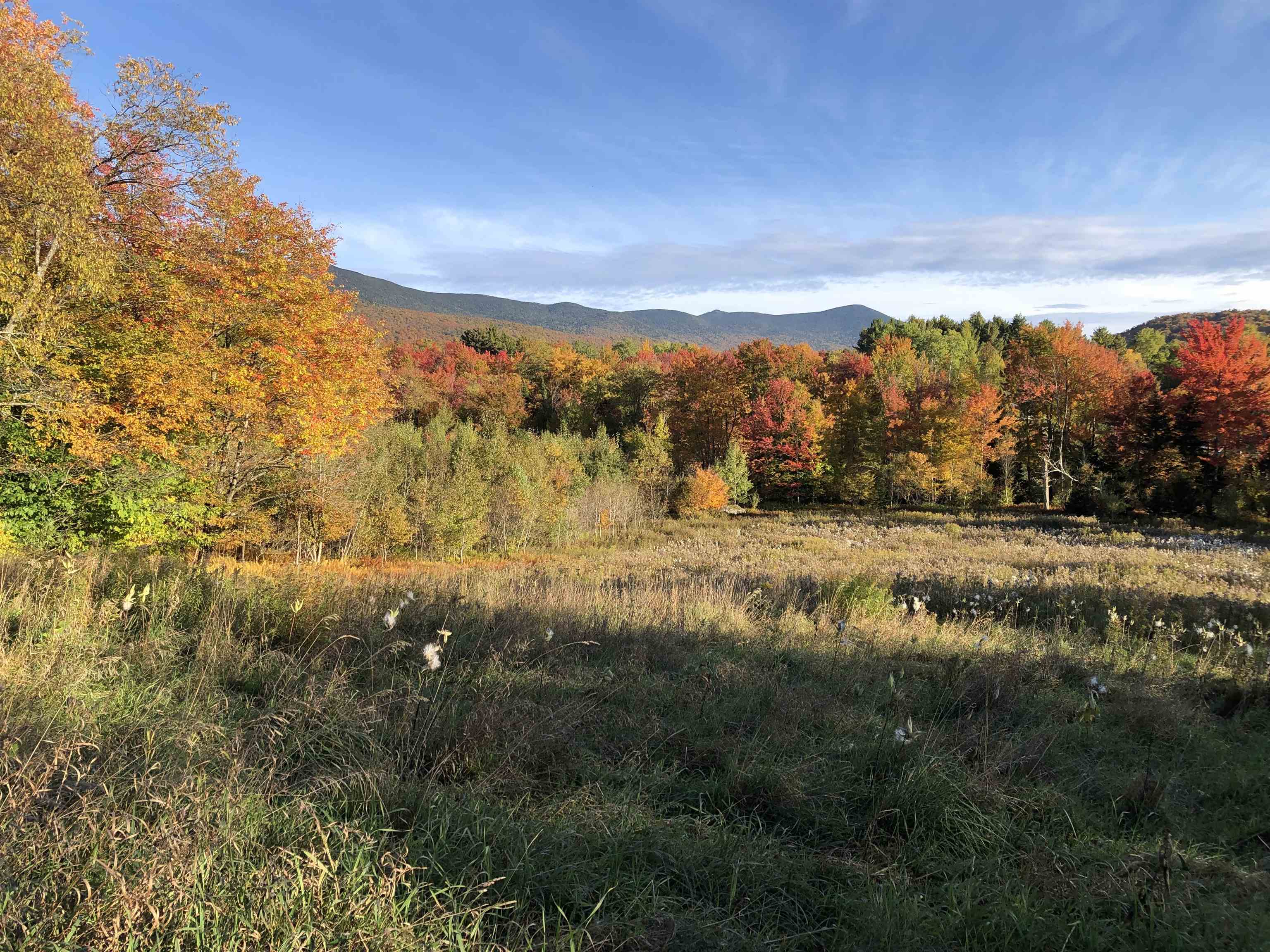 75 Meadow Brook Drive Unit: Lot #1