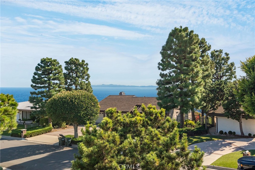 30216 Matisse Drive