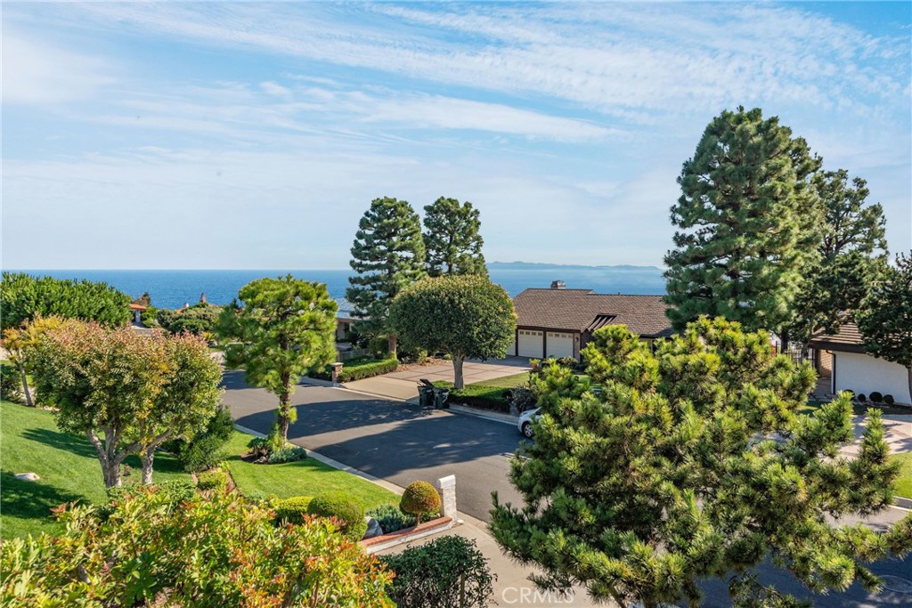30216 Matisse Drive
