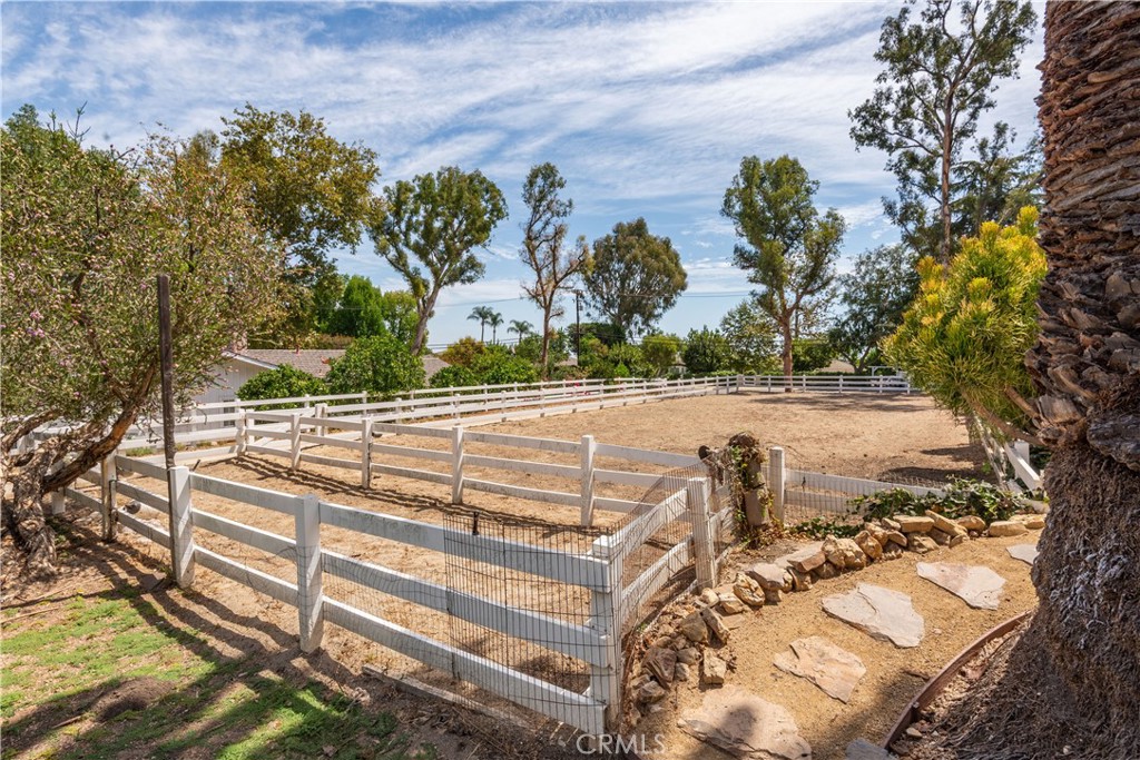 Fenced dirt paddock with white rail fencing and trees around the property.