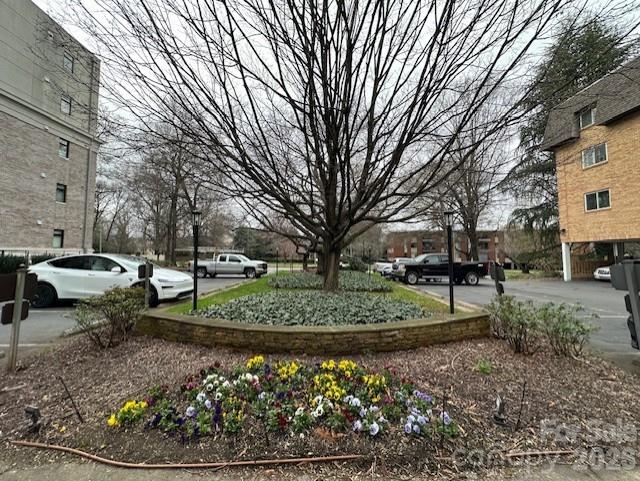 1323 Queens Road Unit: 313