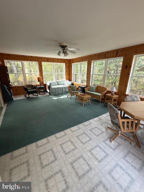 70 DEWALT DRIVE