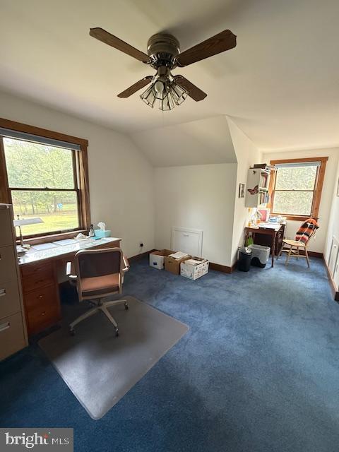 70 DEWALT DRIVE