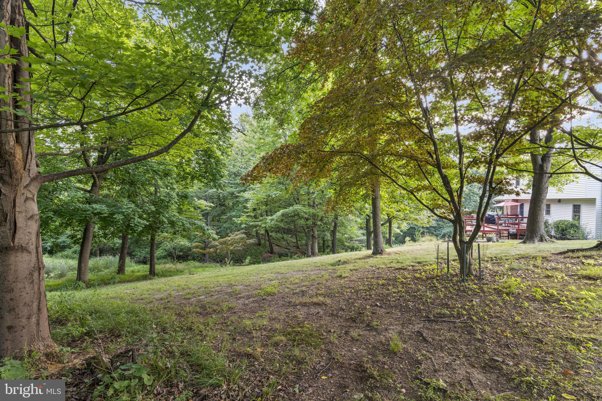 3700 Woodridge Dr