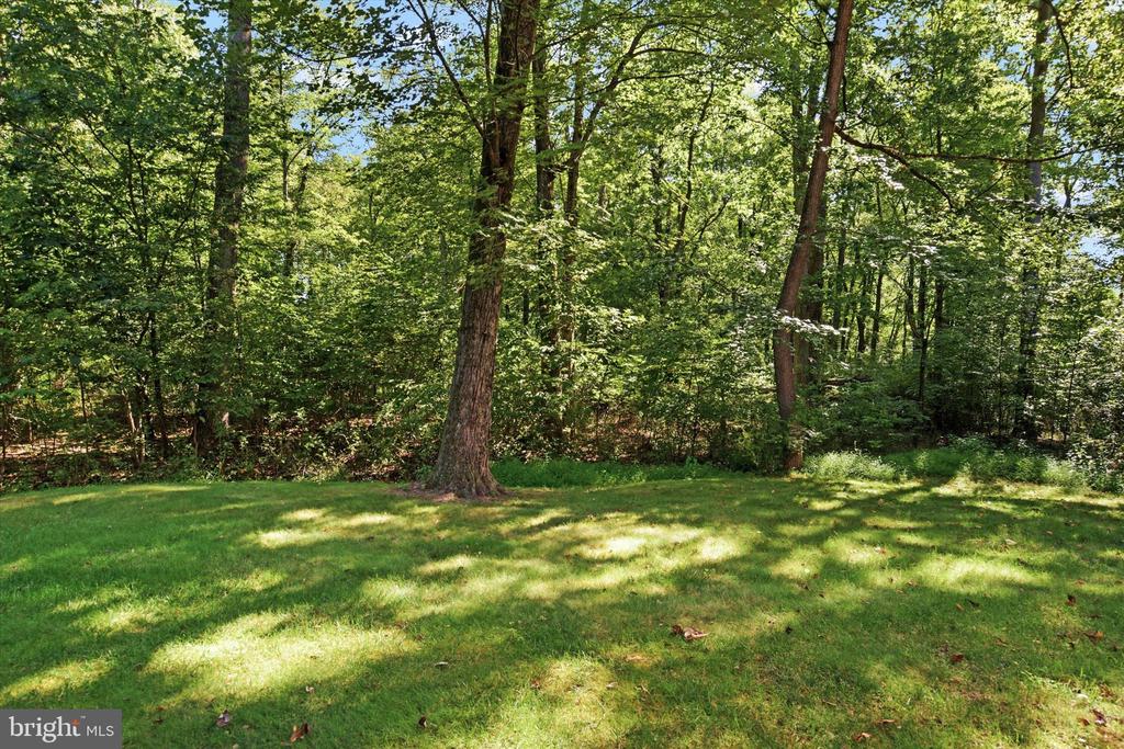 520 Woodthrush Ct