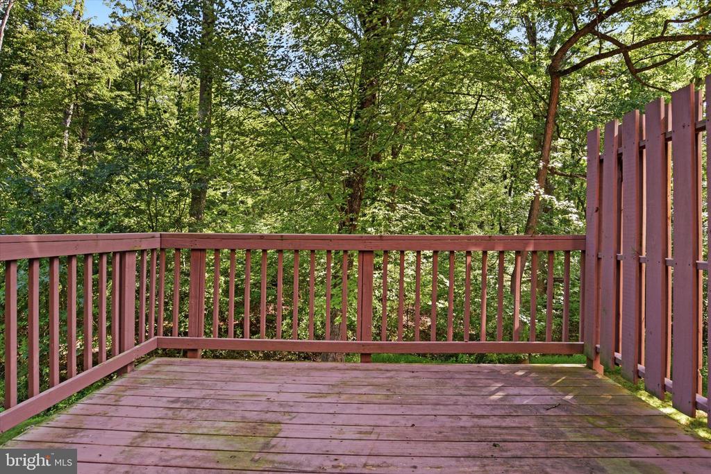 520 Woodthrush Ct