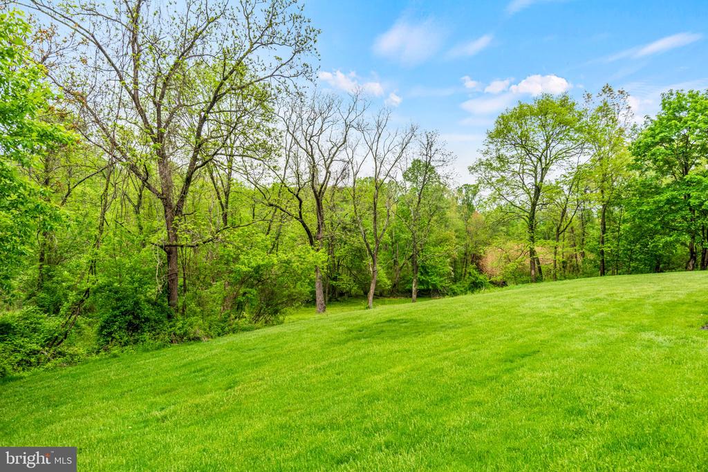 159 Dividing Ridge Rd