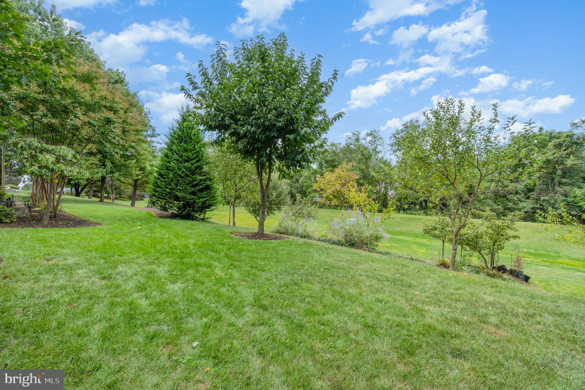 2512 BLARNEY DRIVE