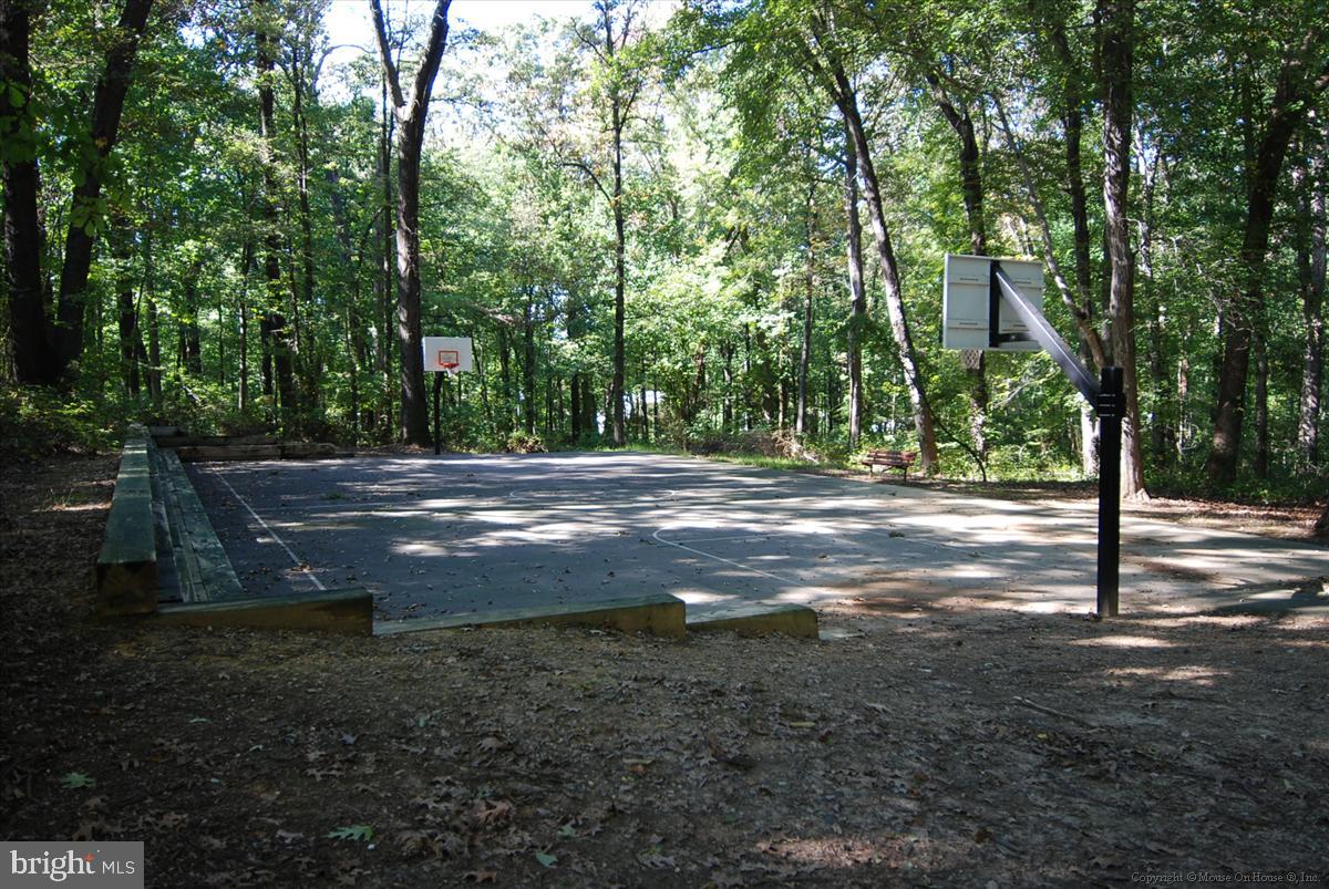 2826 Emma Lee St #302