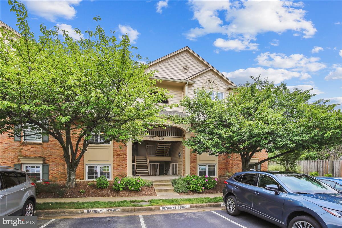 2826 Emma Lee St #302