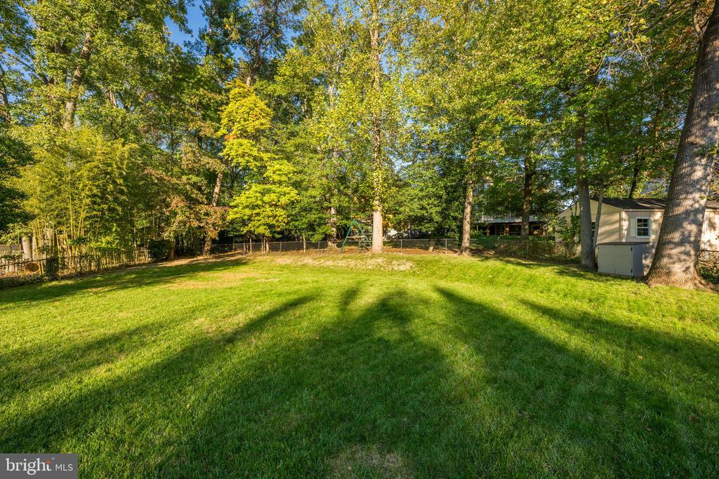 Grassy backyard bordered by mature trees, with a small shed and long shadows across the lawn.