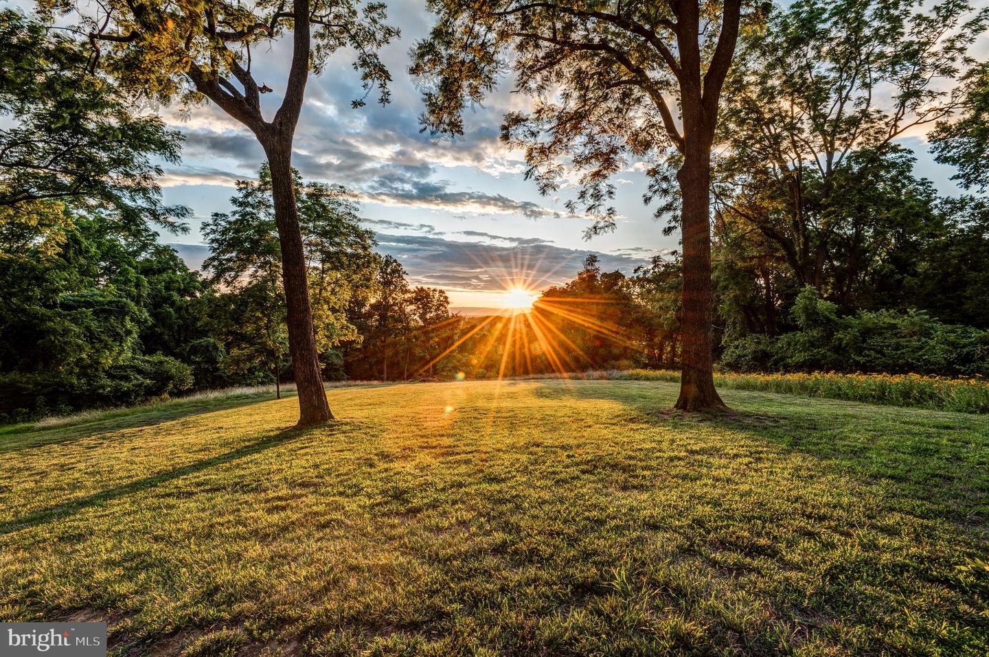 18463 Rustling Woods Ct