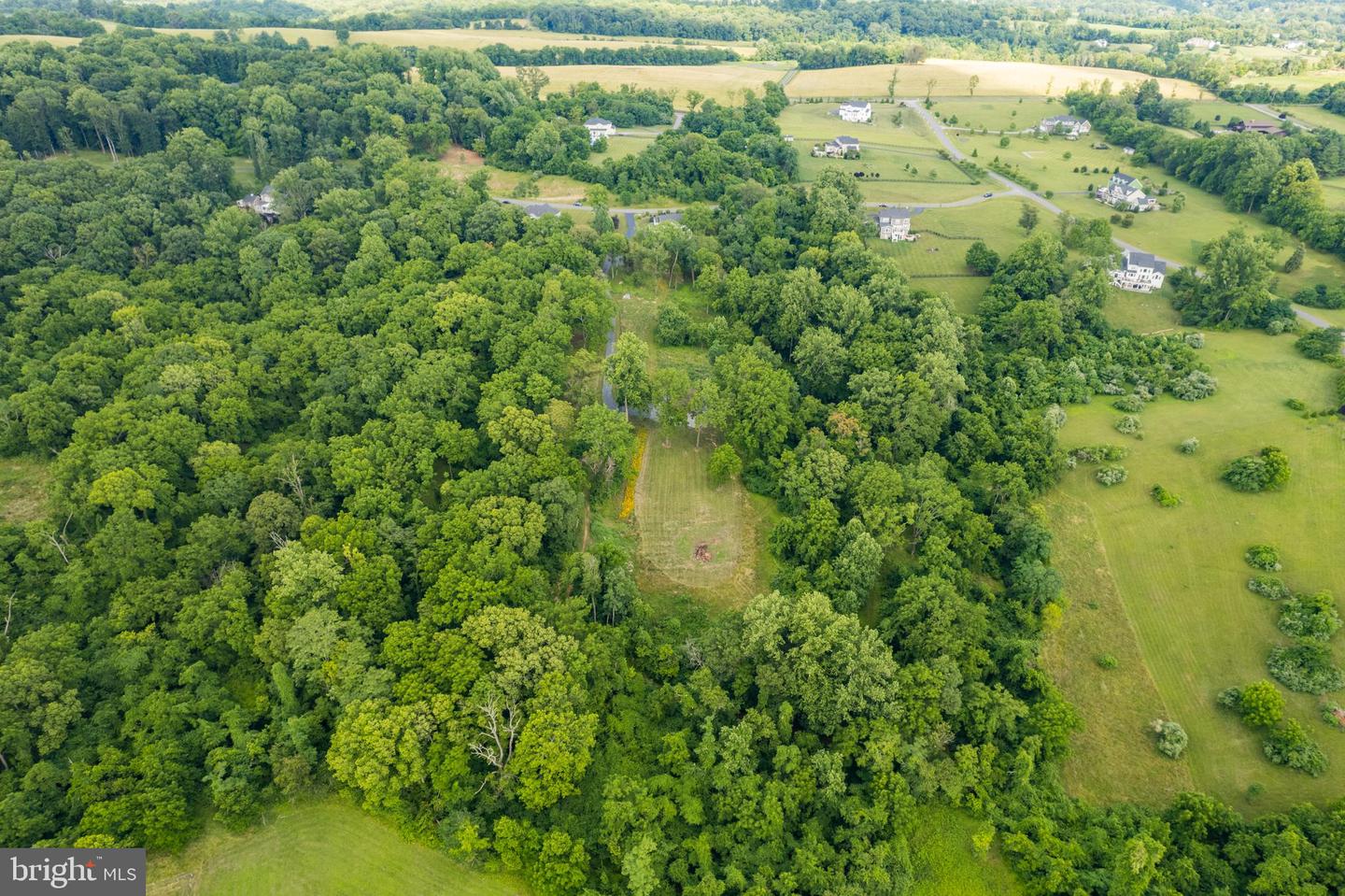 18463 Rustling Woods Ct