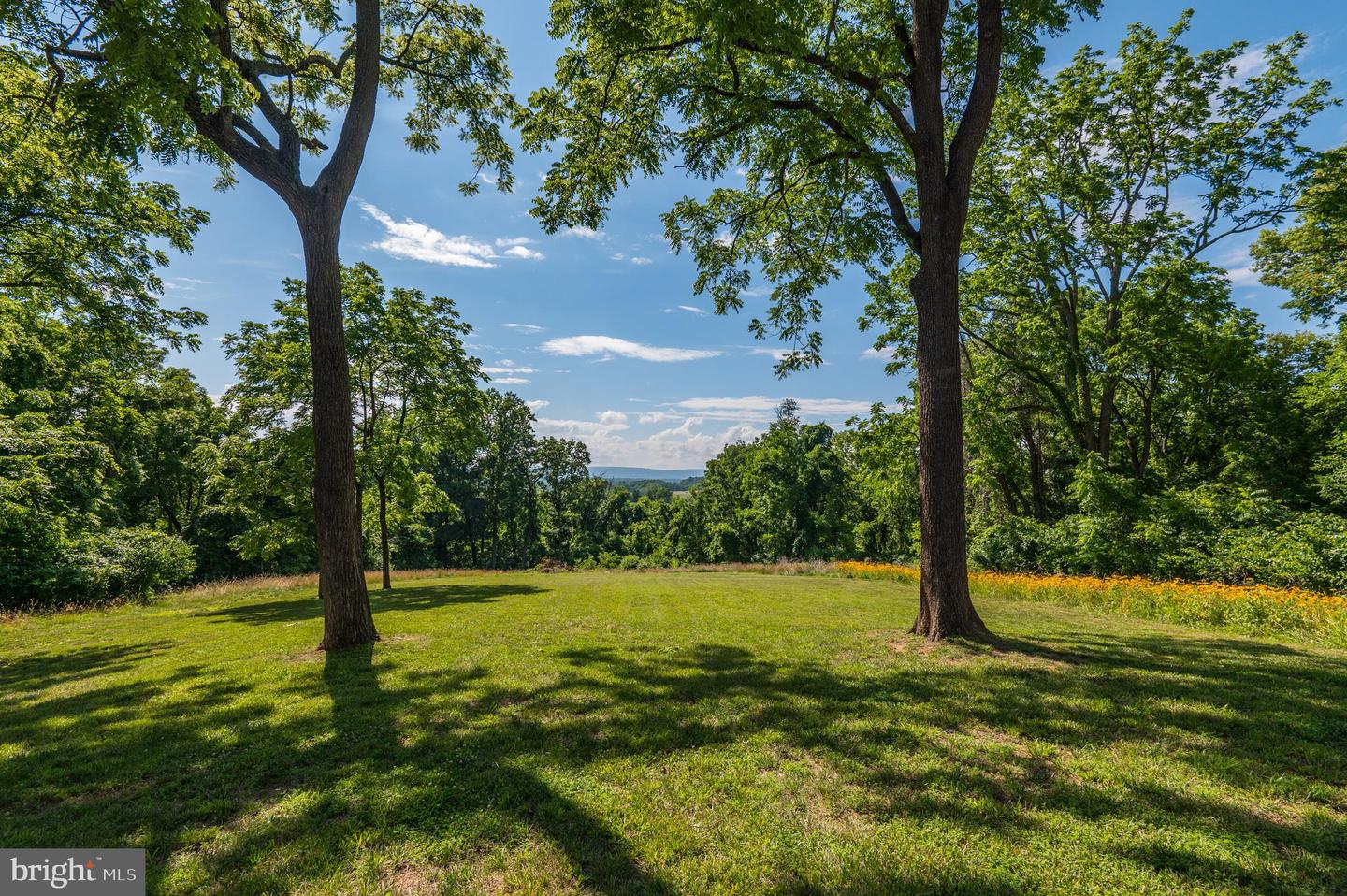 18463 Rustling Woods Ct